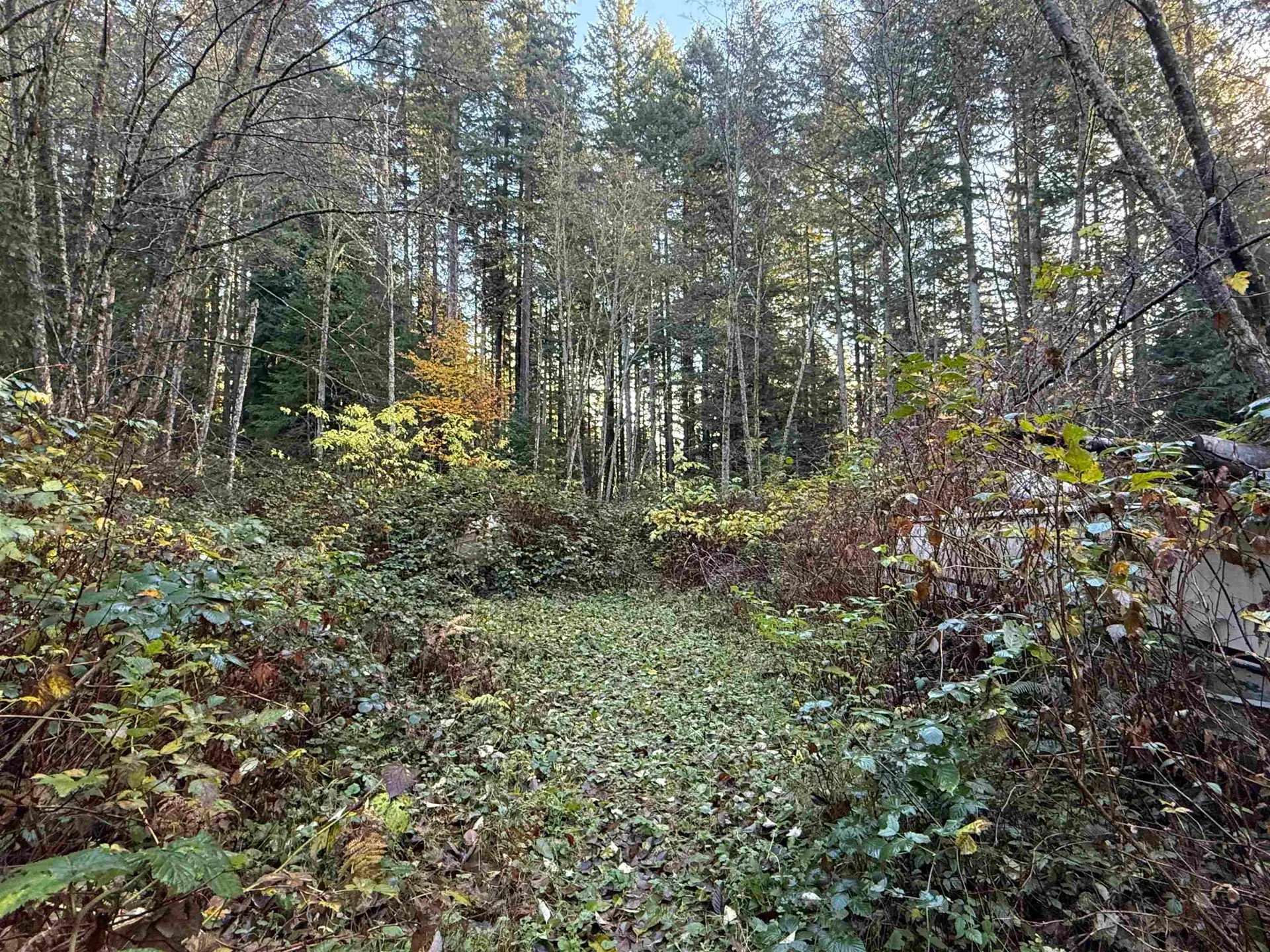 Property at 1594 CEMETERY ROAD, Gibsons, BC