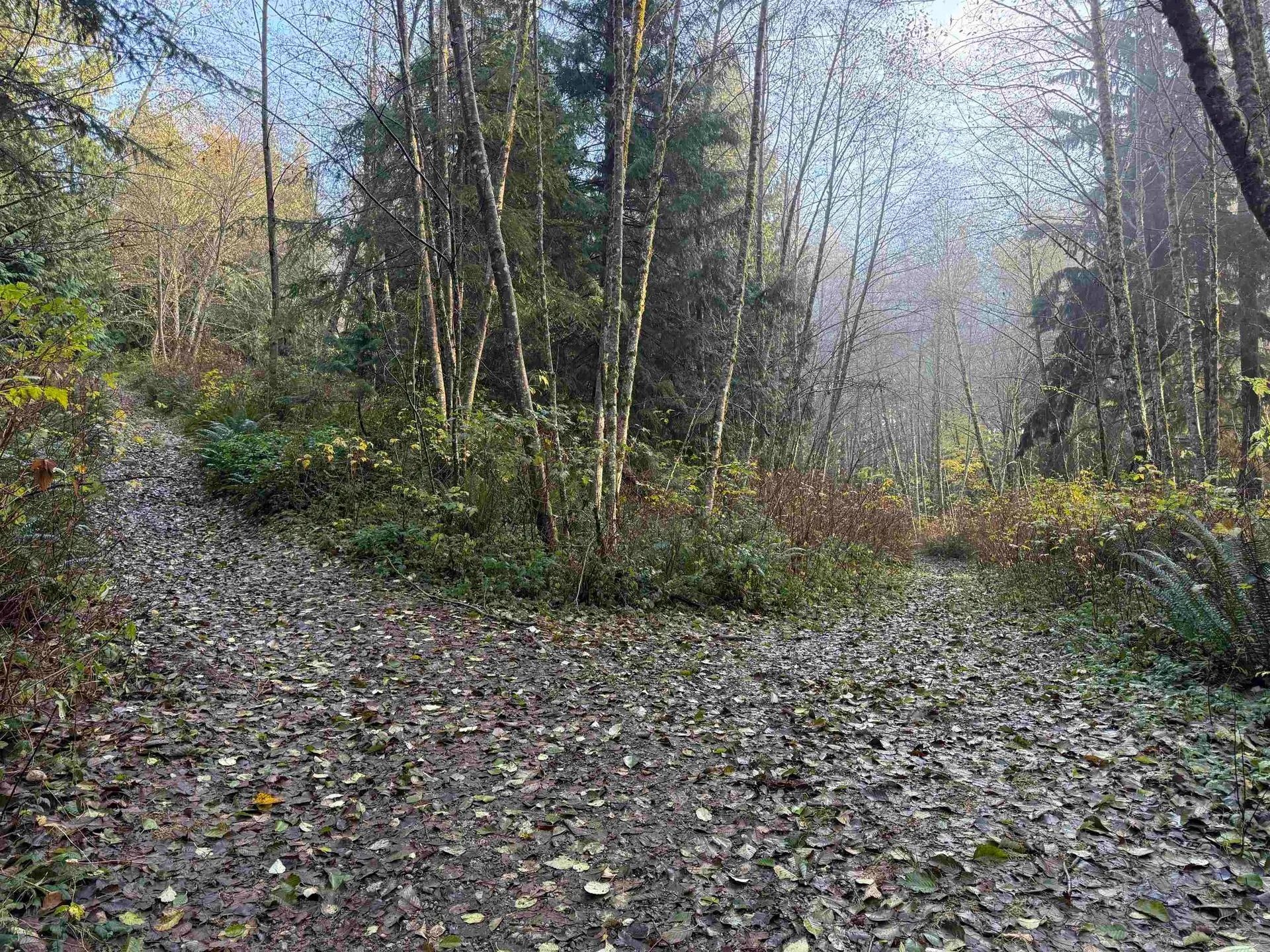 Property at 1594 CEMETERY ROAD, Gibsons, BC