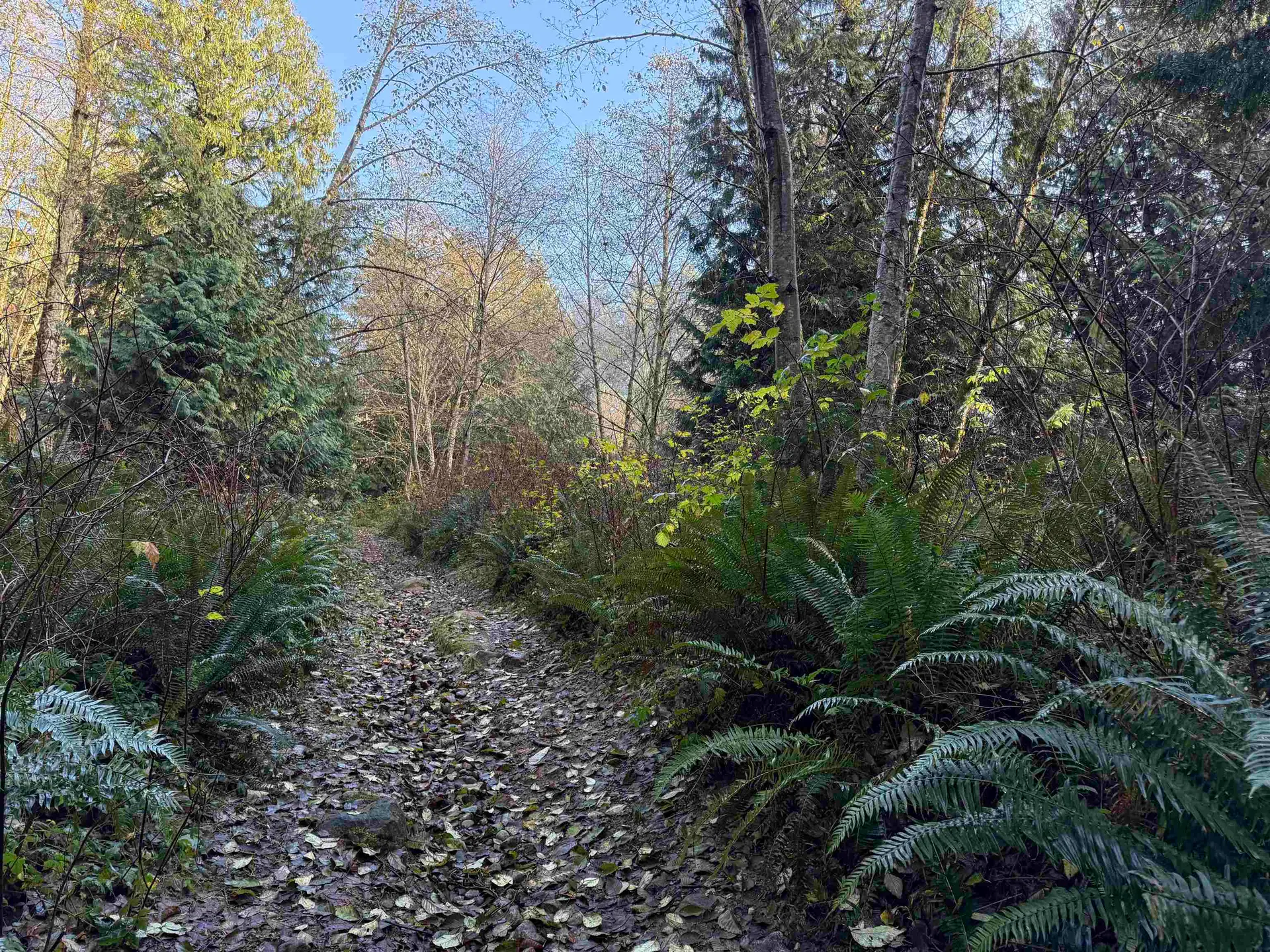 Property at 1594 CEMETERY ROAD, Gibsons, BC