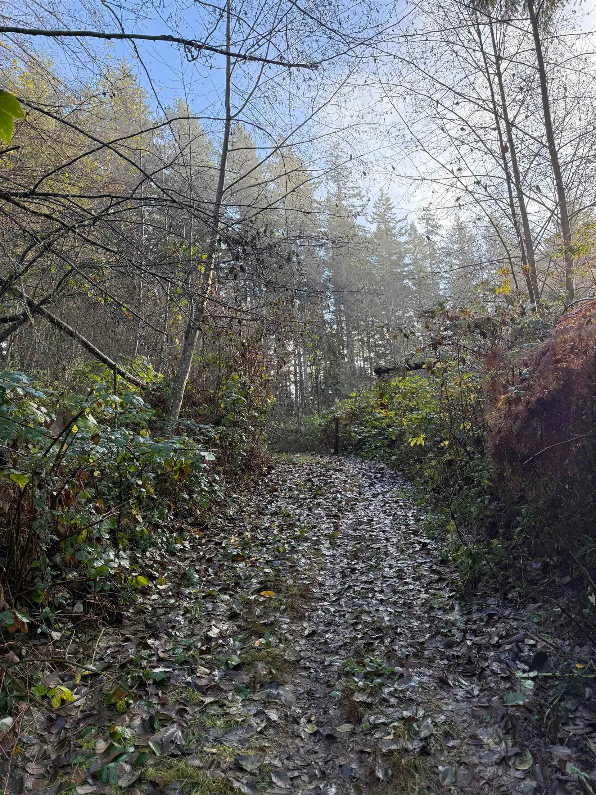 Property at 1594 CEMETERY ROAD, Gibsons, BC