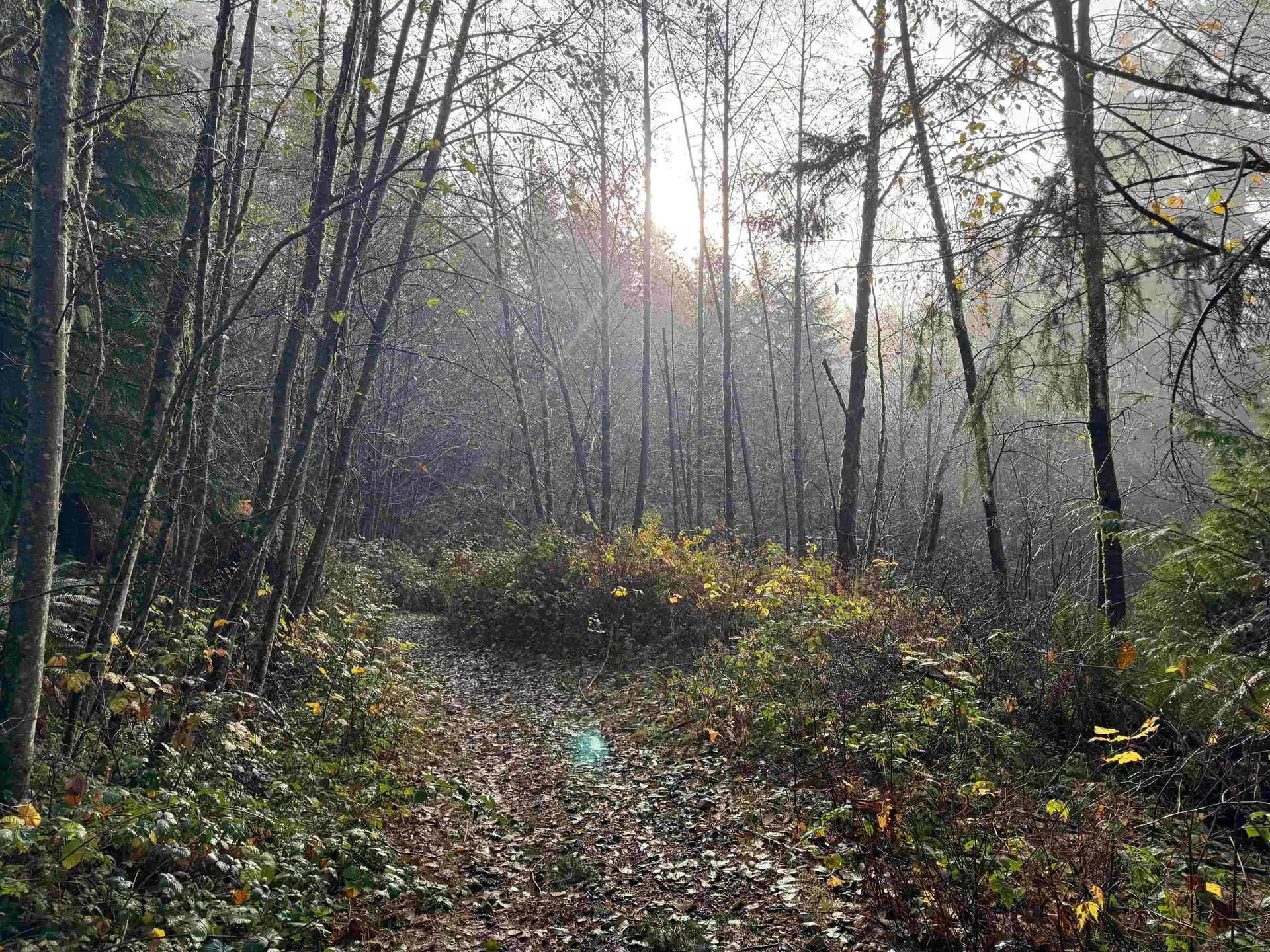 Property at 1594 CEMETERY ROAD, Gibsons, BC