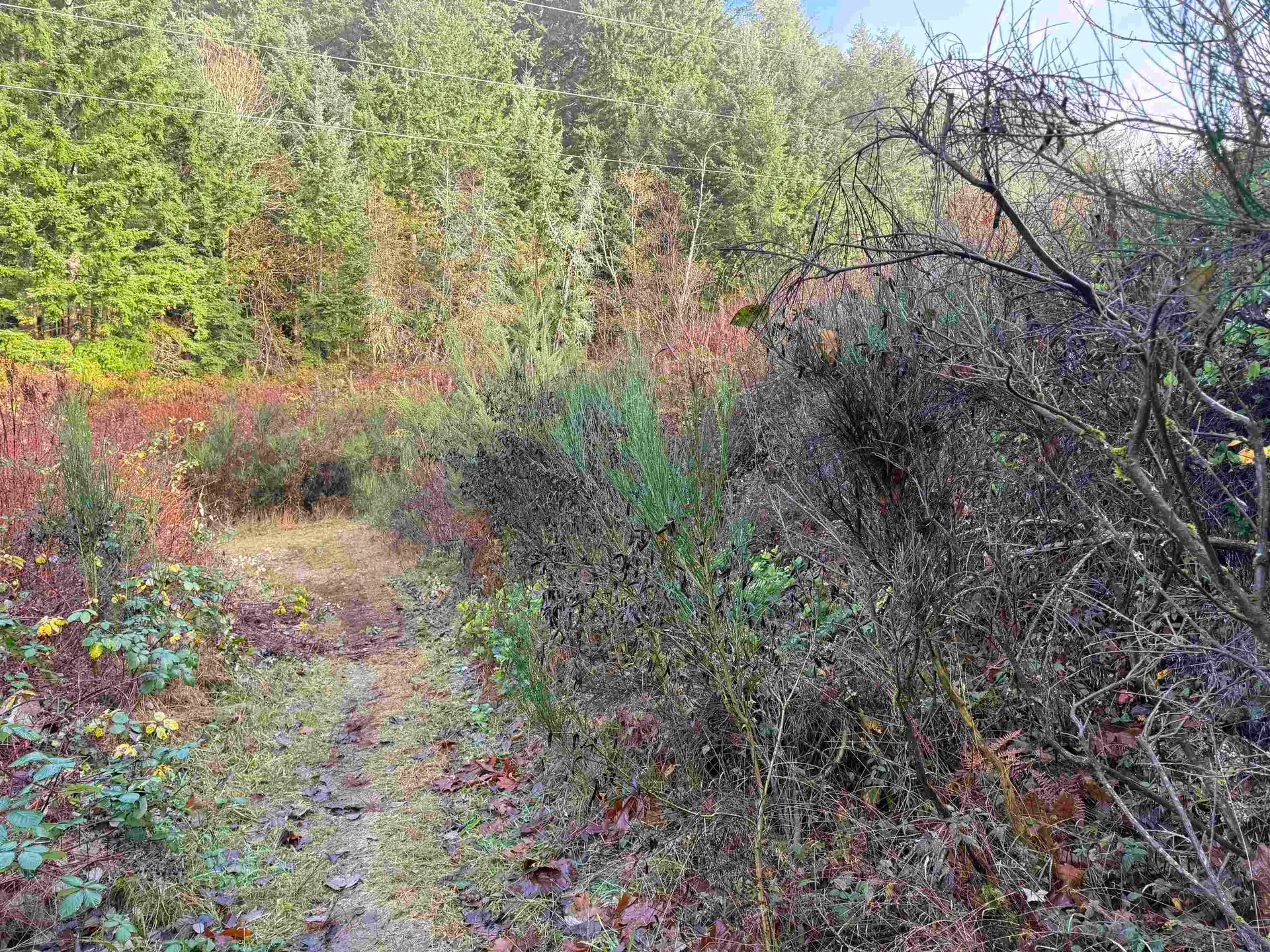 Property at 1594 CEMETERY ROAD, Gibsons, BC