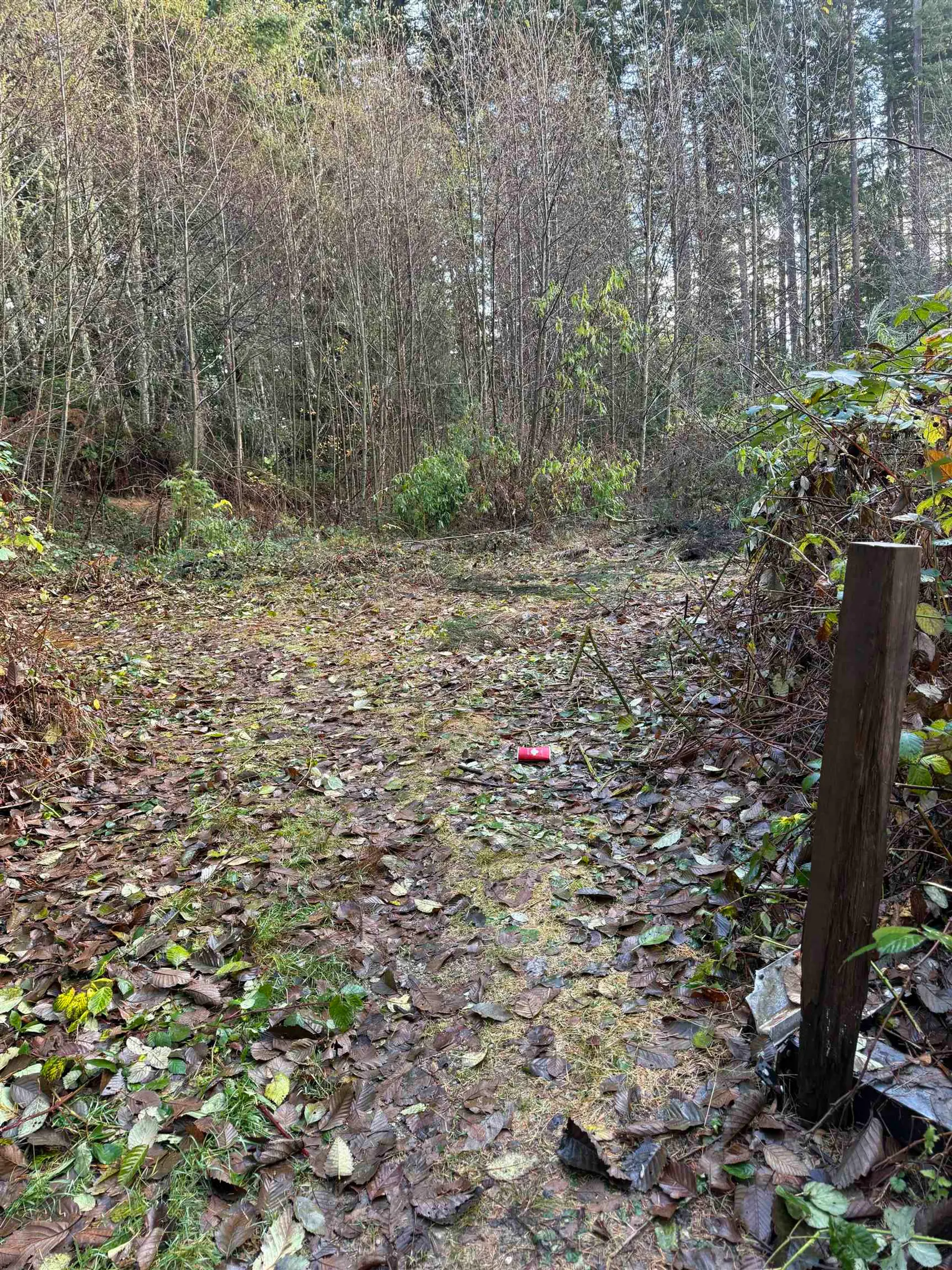 Property at 1594 CEMETERY ROAD, Gibsons, BC