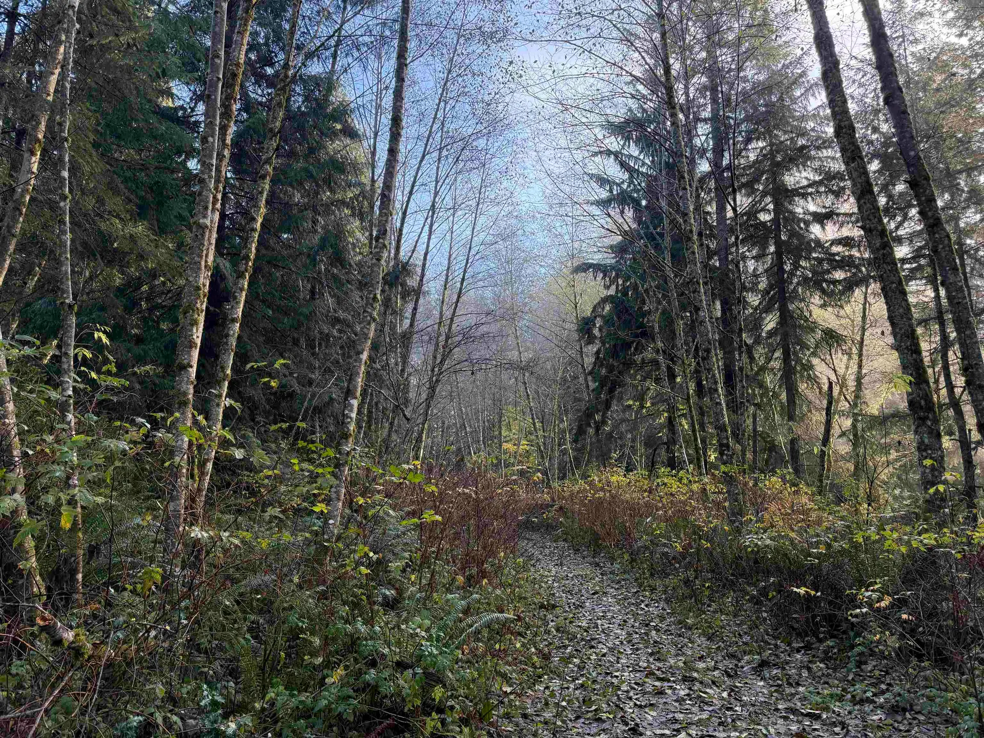 Property at 1594 CEMETERY ROAD, Gibsons, BC