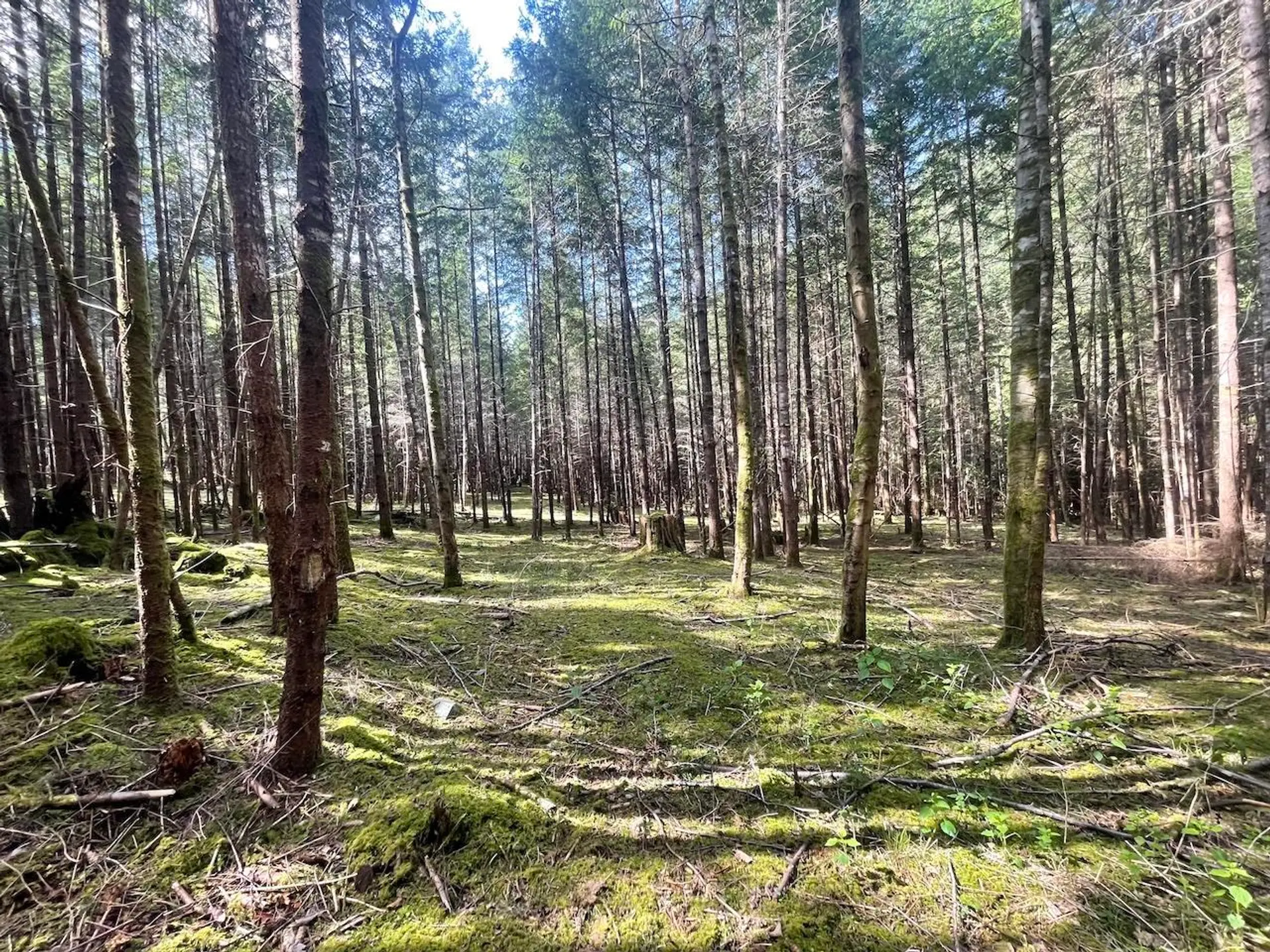 Property at 1840 SEYMOUR ROAD, Gabriola Island, BC