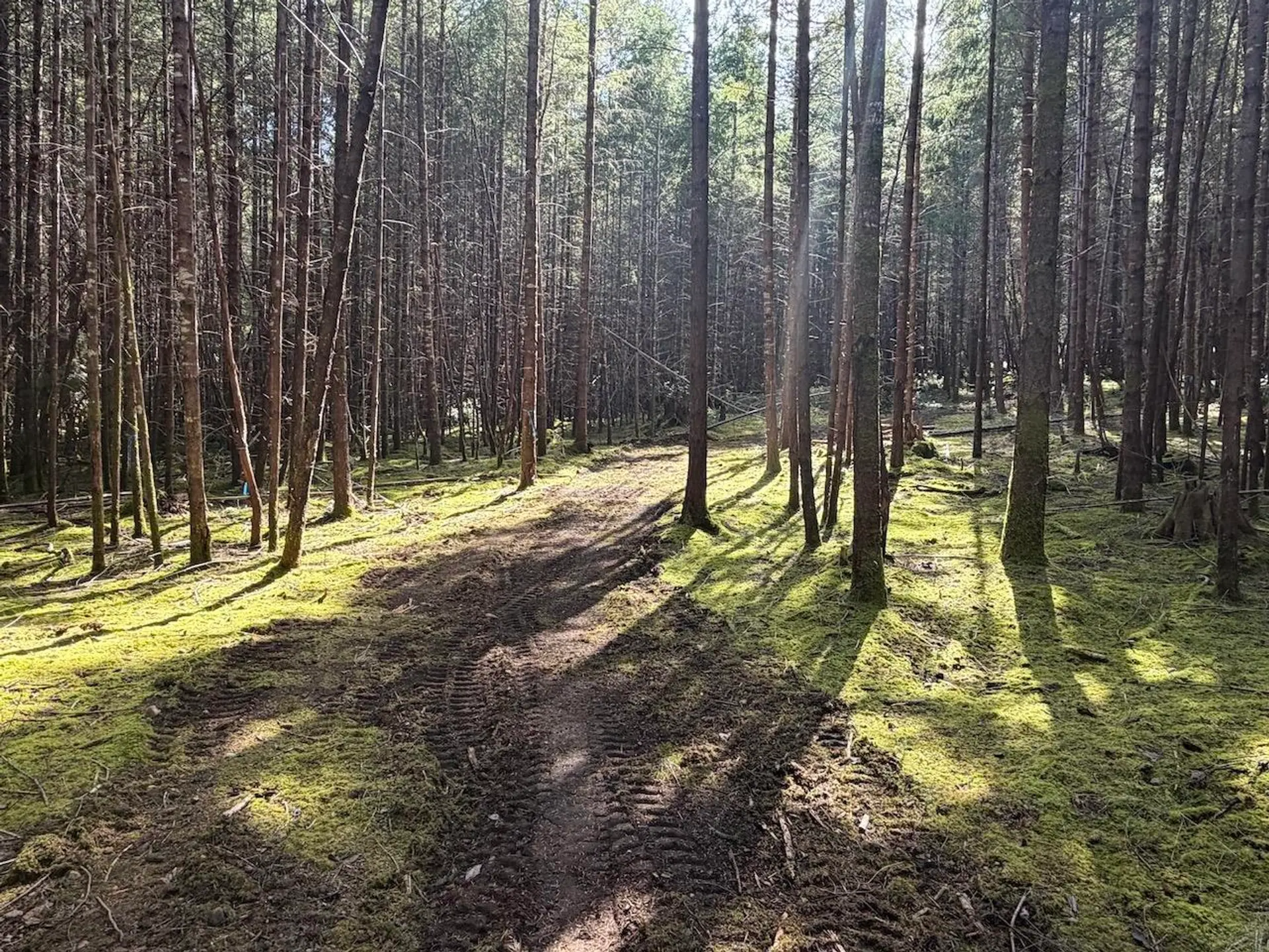 Property at 1840 SEYMOUR ROAD, Gabriola Island, BC