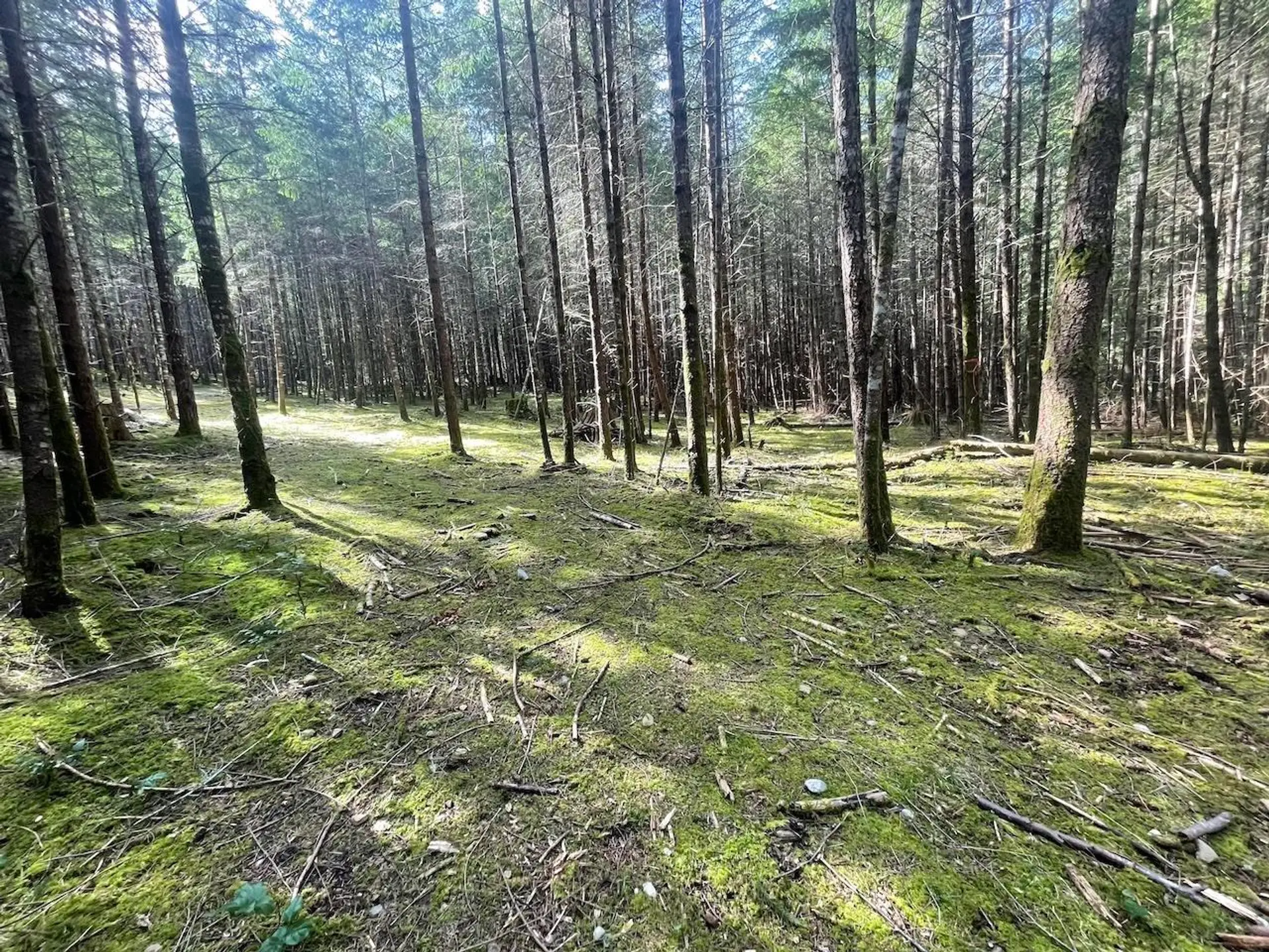 Property at 1840 SEYMOUR ROAD, Gabriola Island, BC