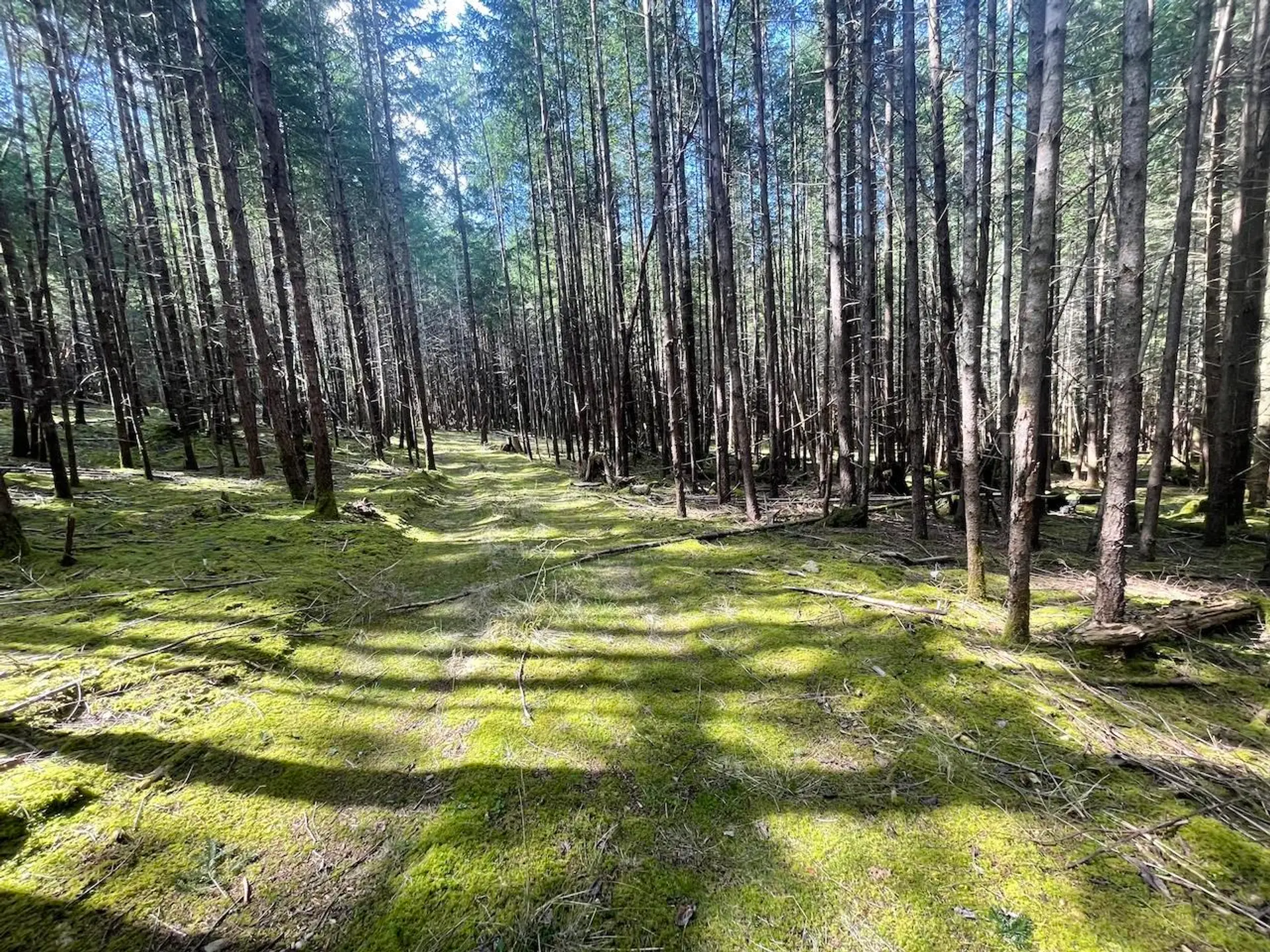 Property at 1840 SEYMOUR ROAD, Gabriola Island, BC