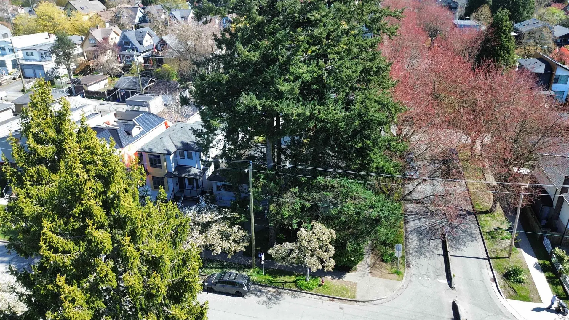 Property at 4496 Ontario Street, Vancouver, BC