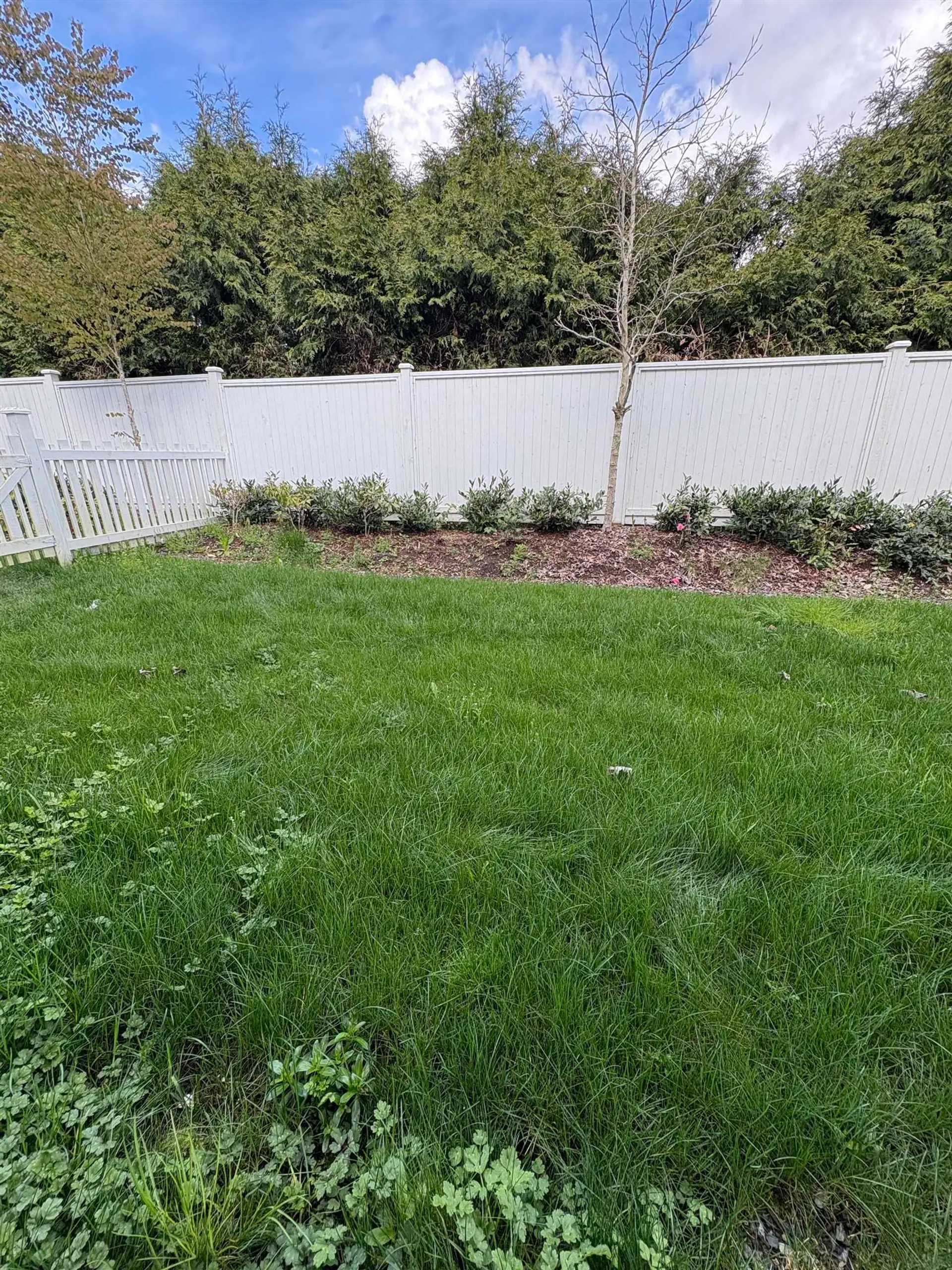 Property at #7 8181 135A STREET, Surrey, BC