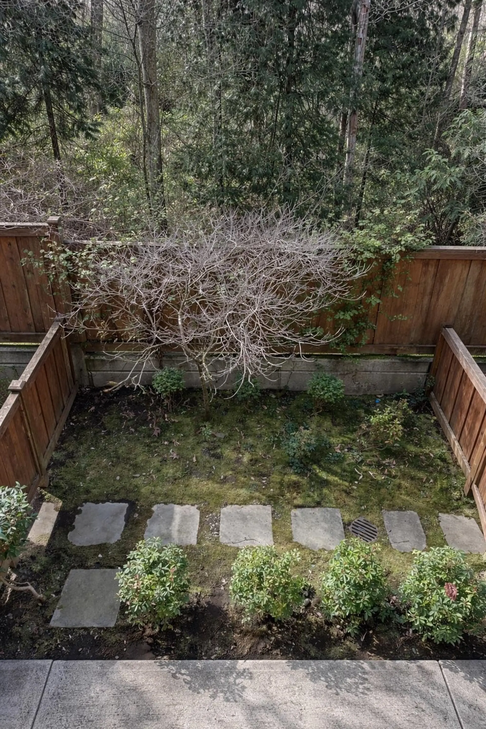 Property at #40 2979 156 STREET, Surrey, BC