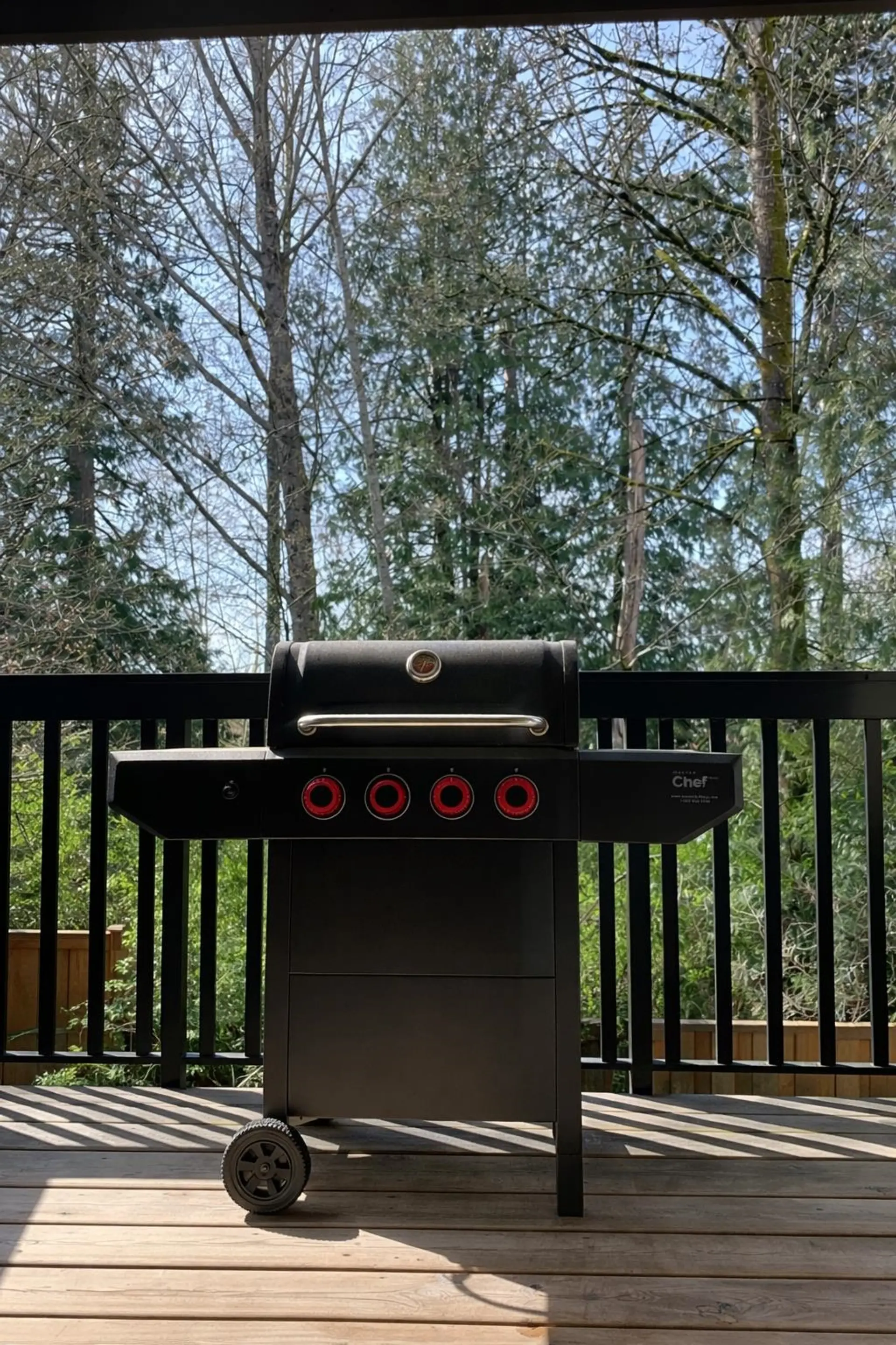 Property at #40 2979 156 STREET, Surrey, BC