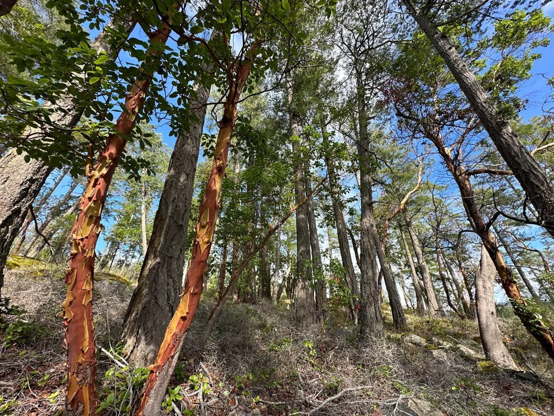 Property at LOT 14 FLAGSHIP ROAD, Garden Bay, BC