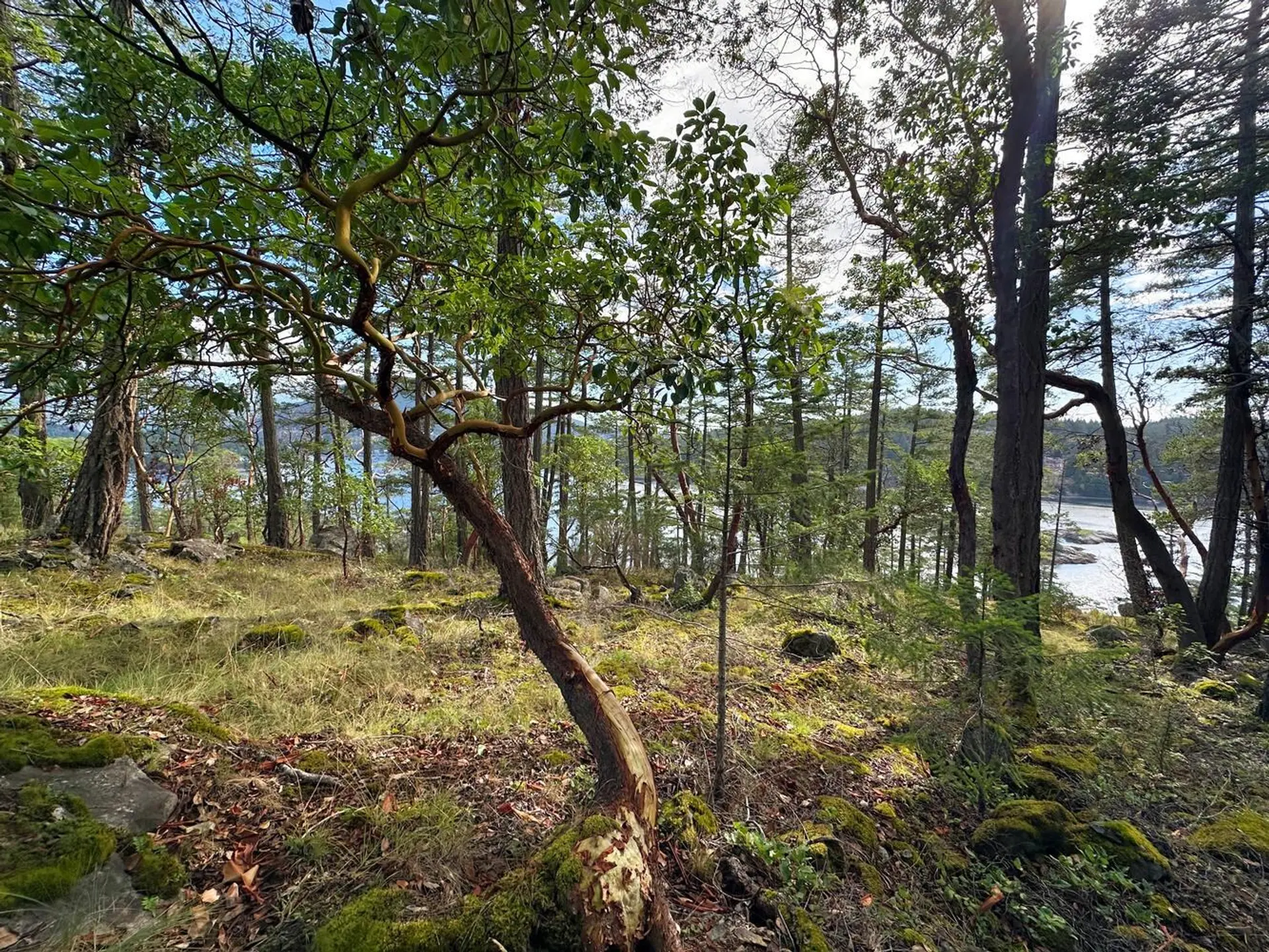 Property at LOT 14 FLAGSHIP ROAD, Garden Bay, BC