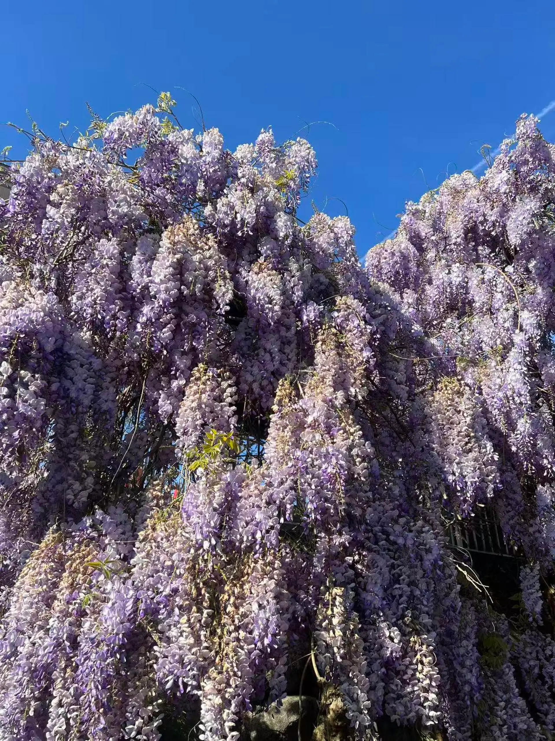 Property at 5529 KEITH STREET, Burnaby, BC