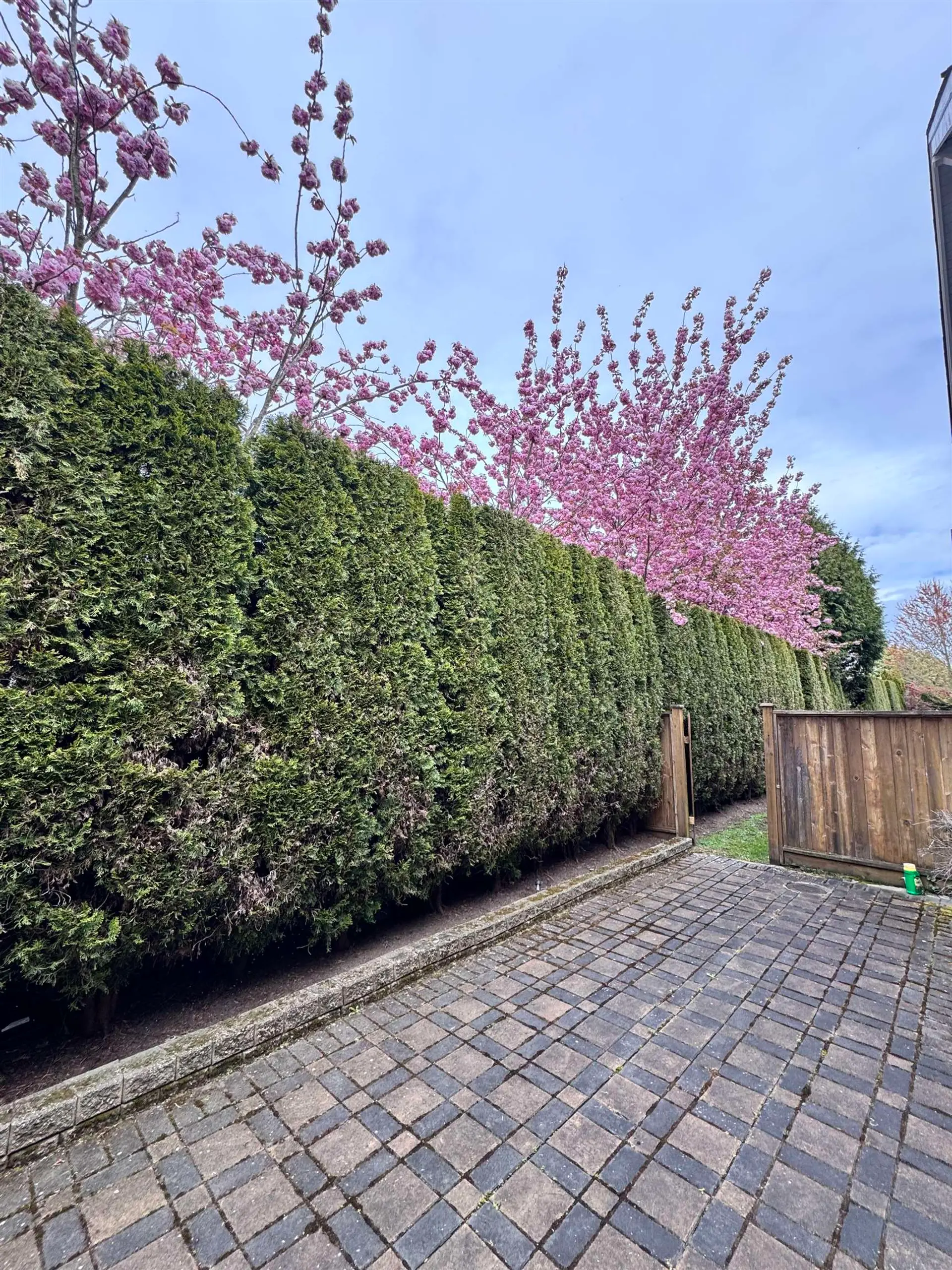 Property at #10 8091 WILLIAMS ROAD, Richmond, BC