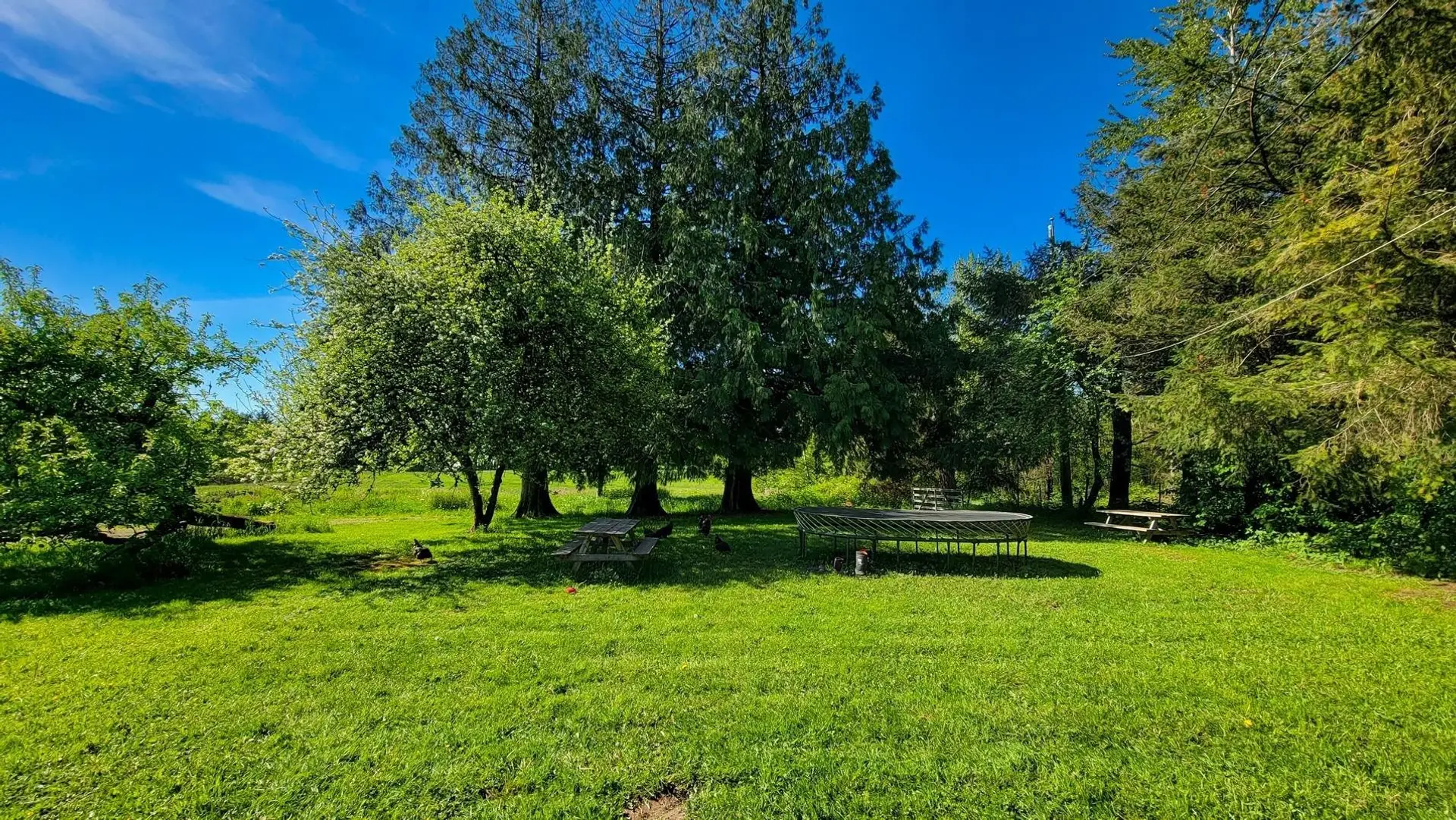 Property at 782 240 STREET, Langley, BC