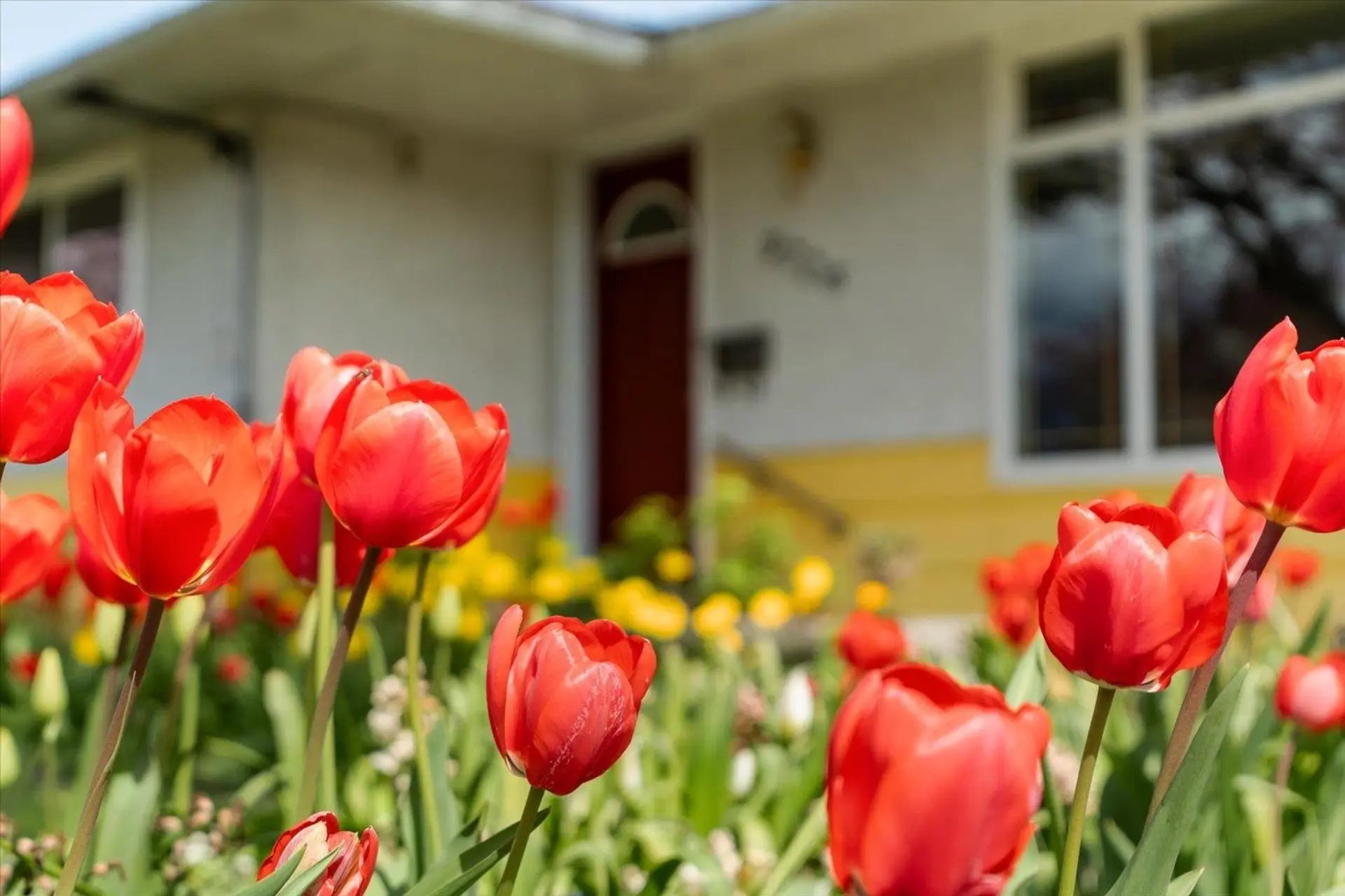 Property at 9726 Juniper Street, Chilliwack, BC