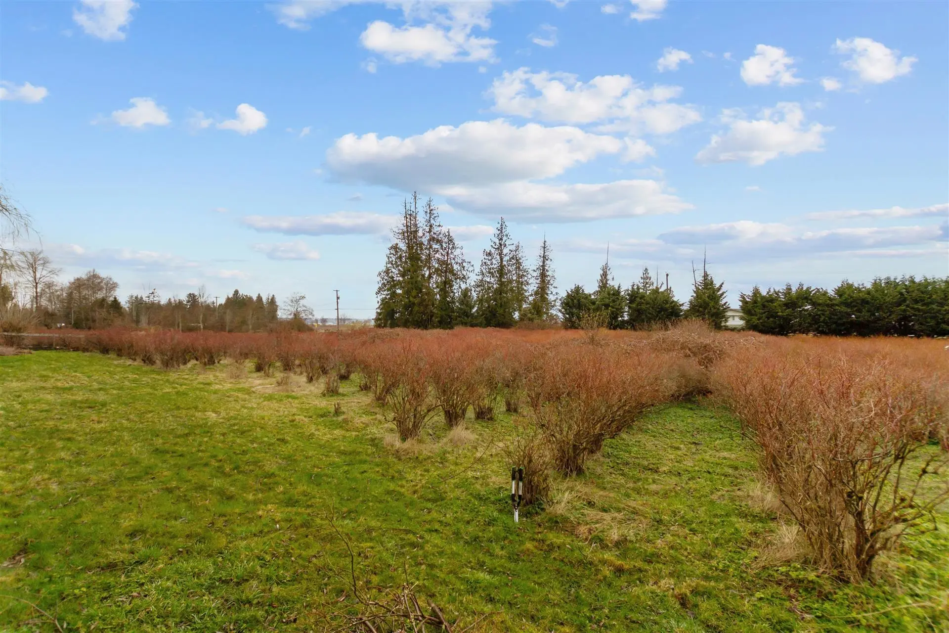 Property at 17325 31 AVENUE, Surrey, BC