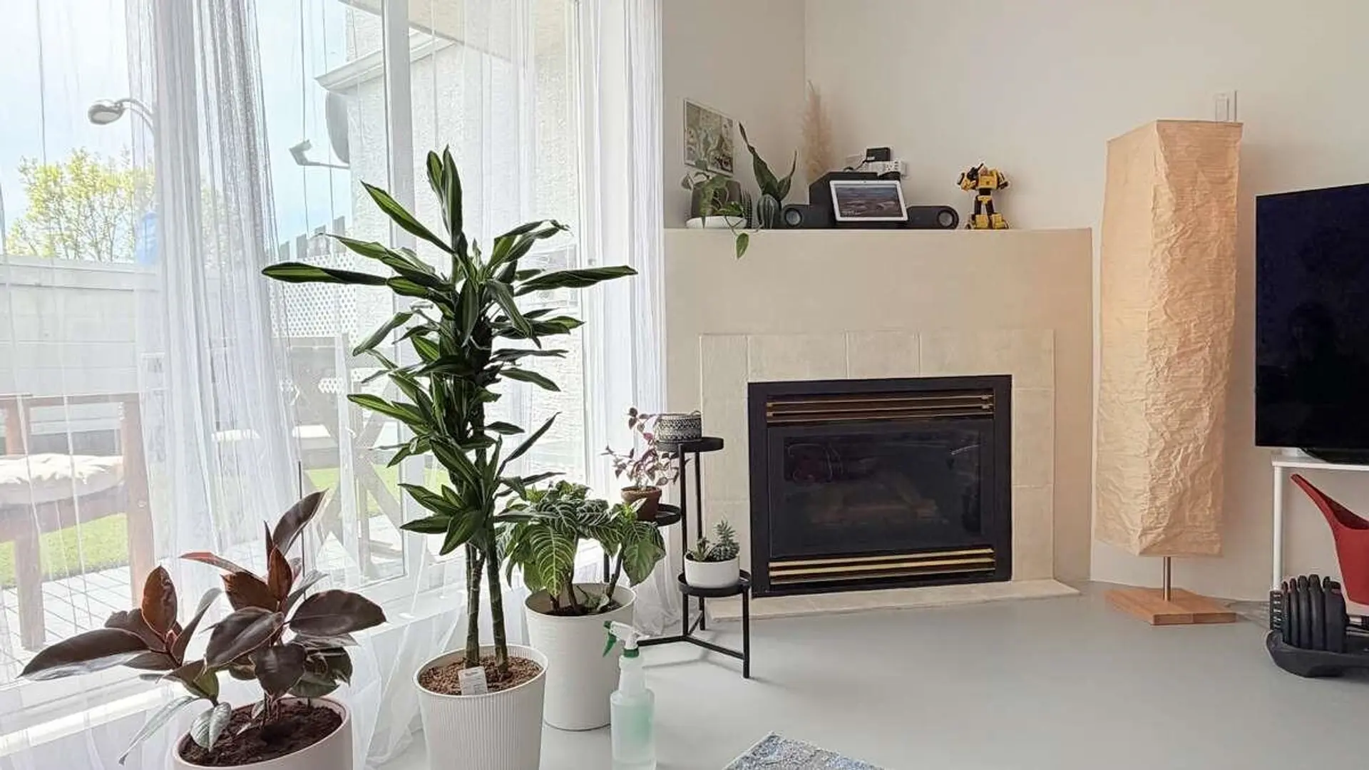 Property at #204 22347 Lougheed Highway, Maple Ridge, BC