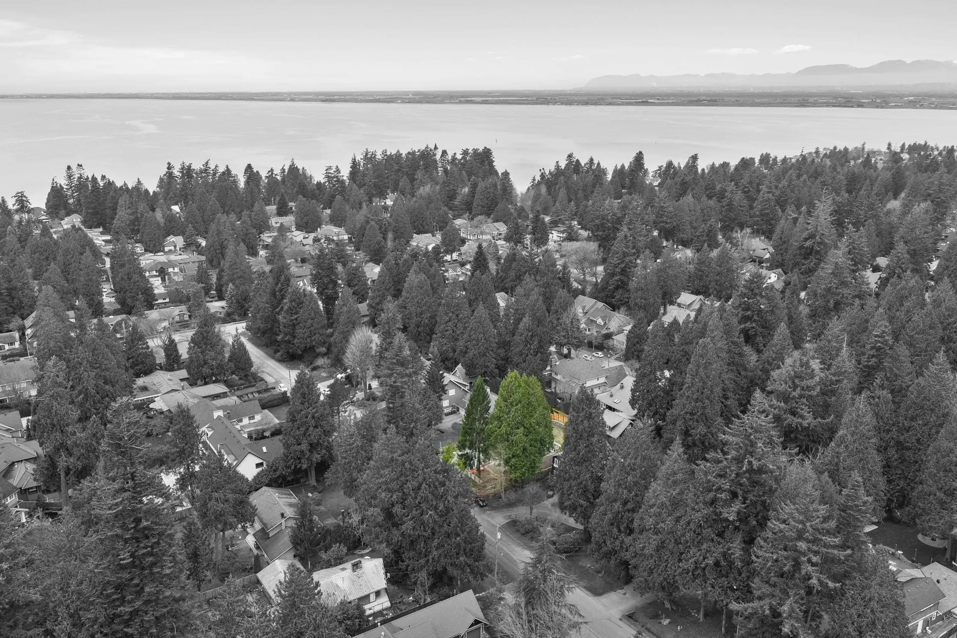 12489 23 Avenue - Image 3