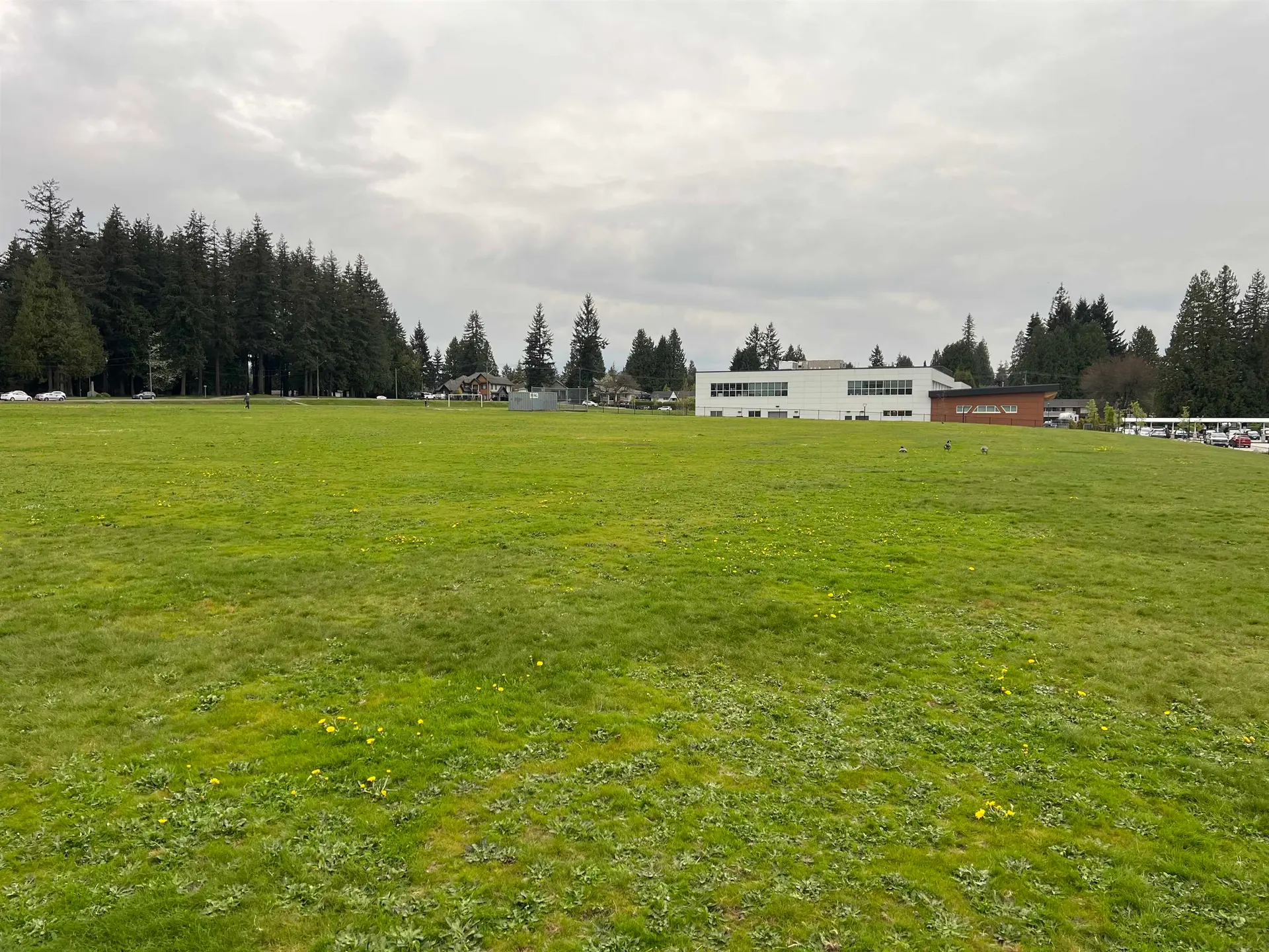 Property at #205 1122 King Albert Avenue, Coquitlam, BC