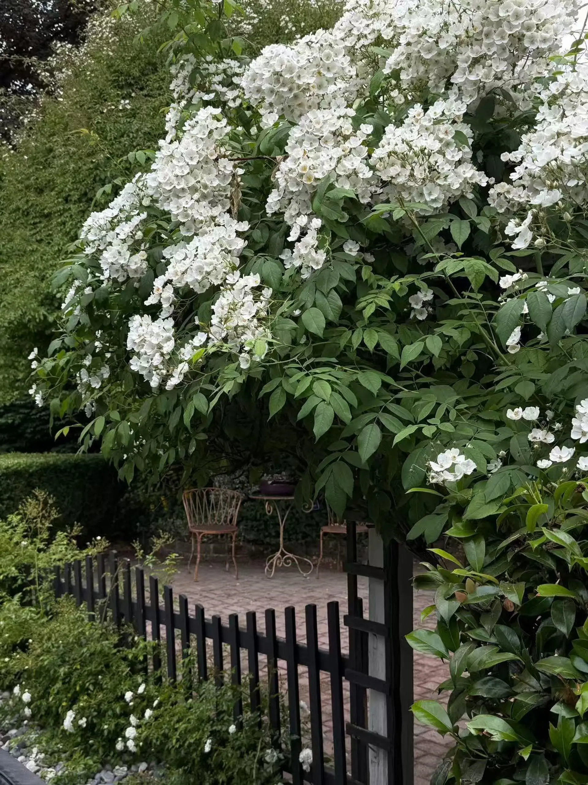 Property at 12239 Skillen Street, Maple Ridge, BC