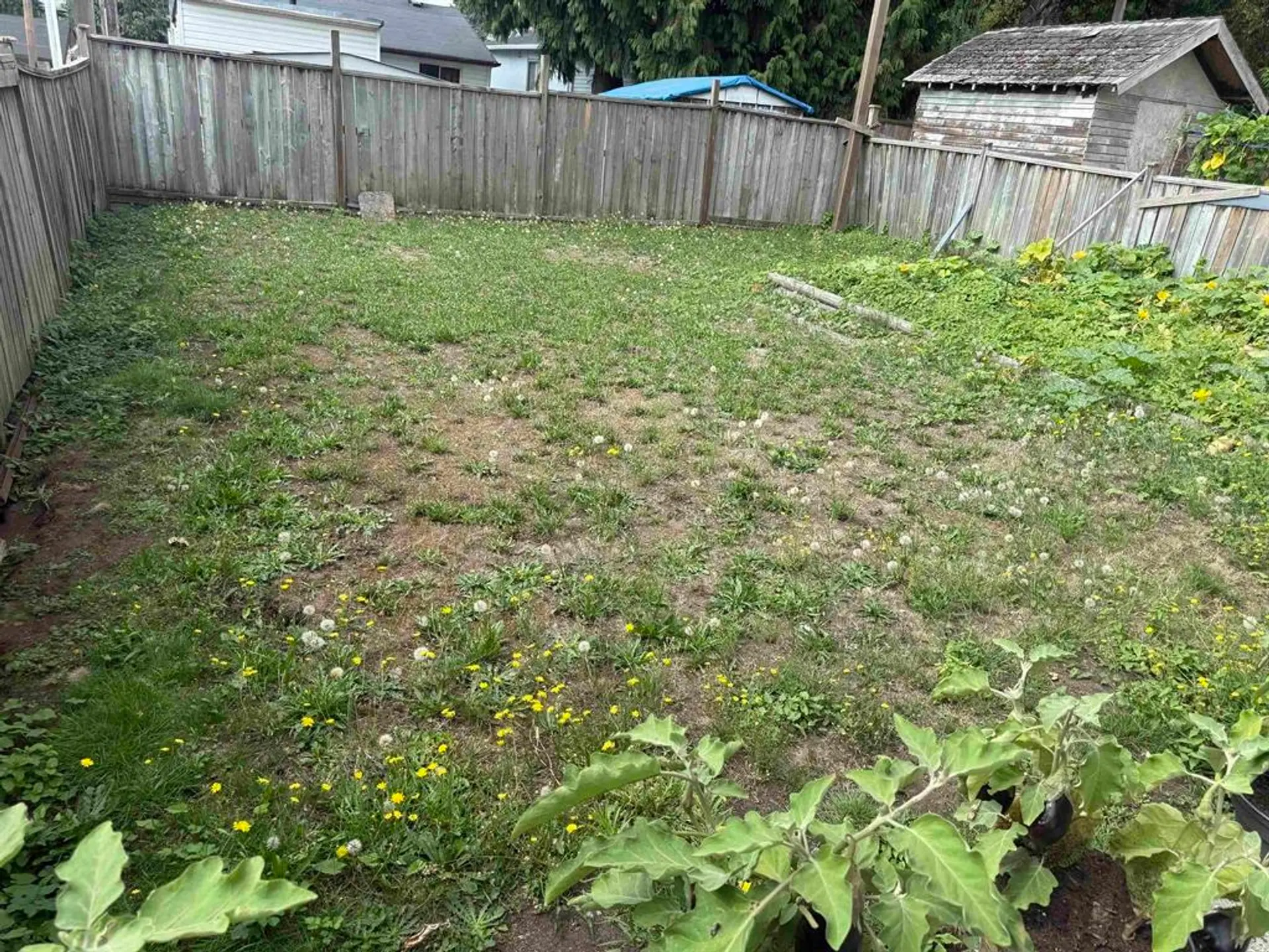 Property at 8125 St. George Street, Vancouver, BC