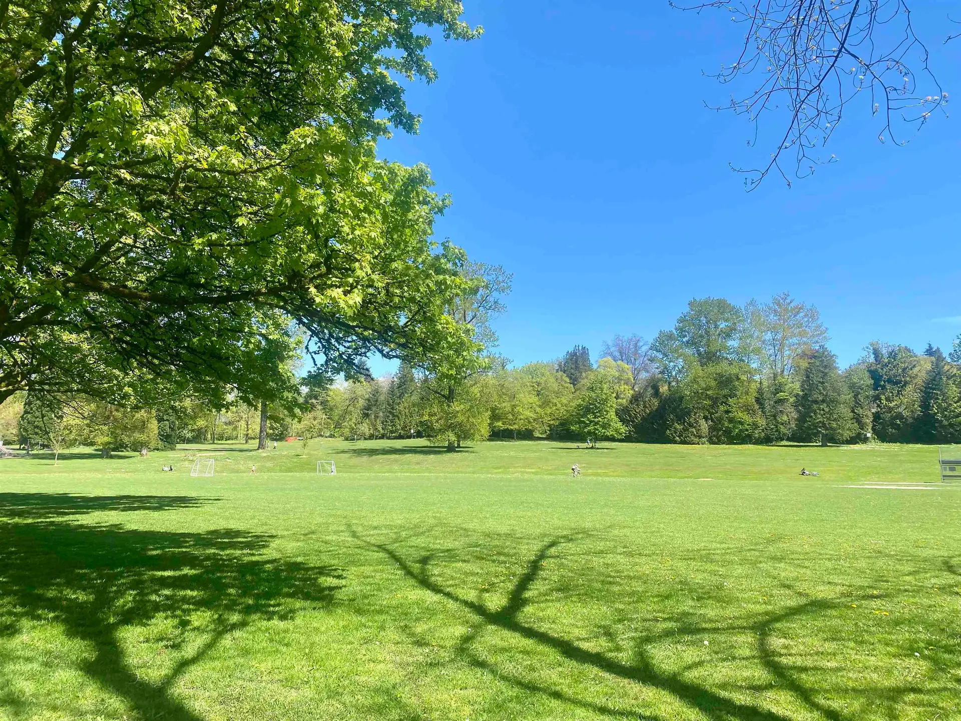 Property at #1204 4655 Valley Drive, Vancouver, BC