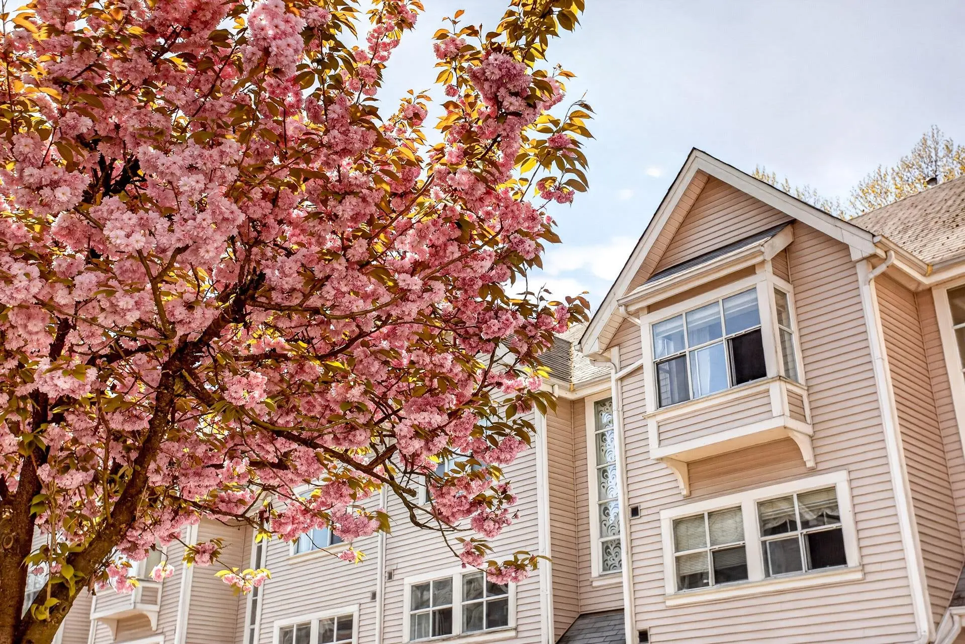 Property at #34 2450 Hawthorne Avenue, Port Coquitlam, BC