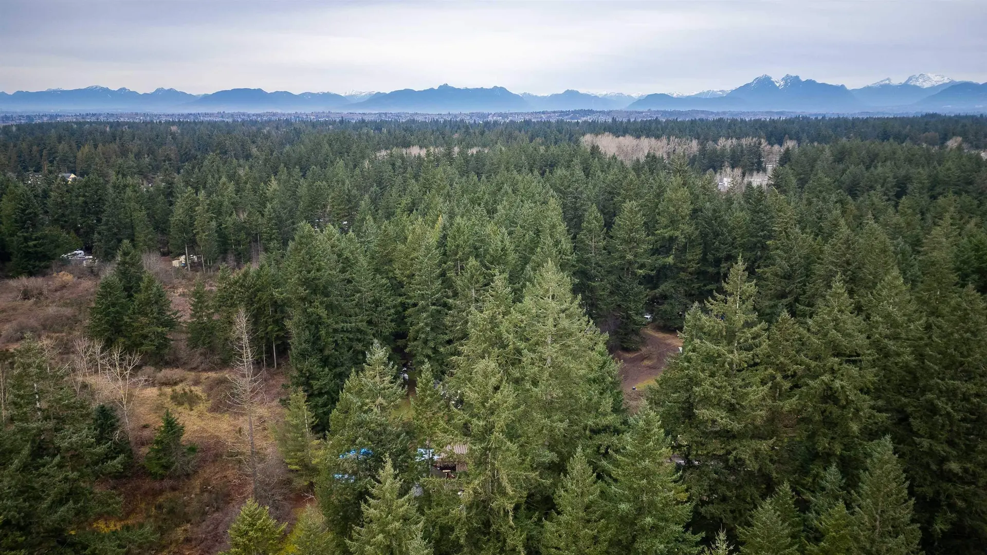 Property at 20108 32 Avenue, Langley, BC