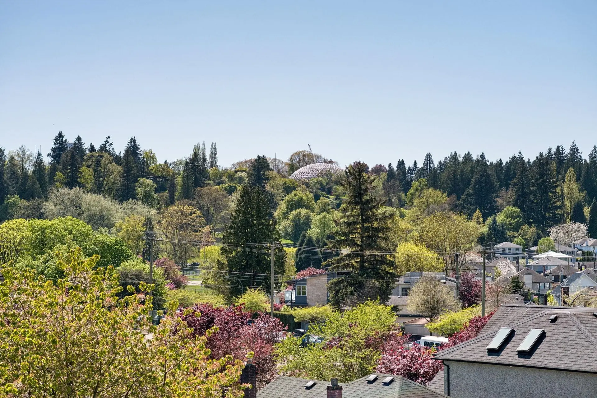 #211 90 King Edward Avenue - Image 3