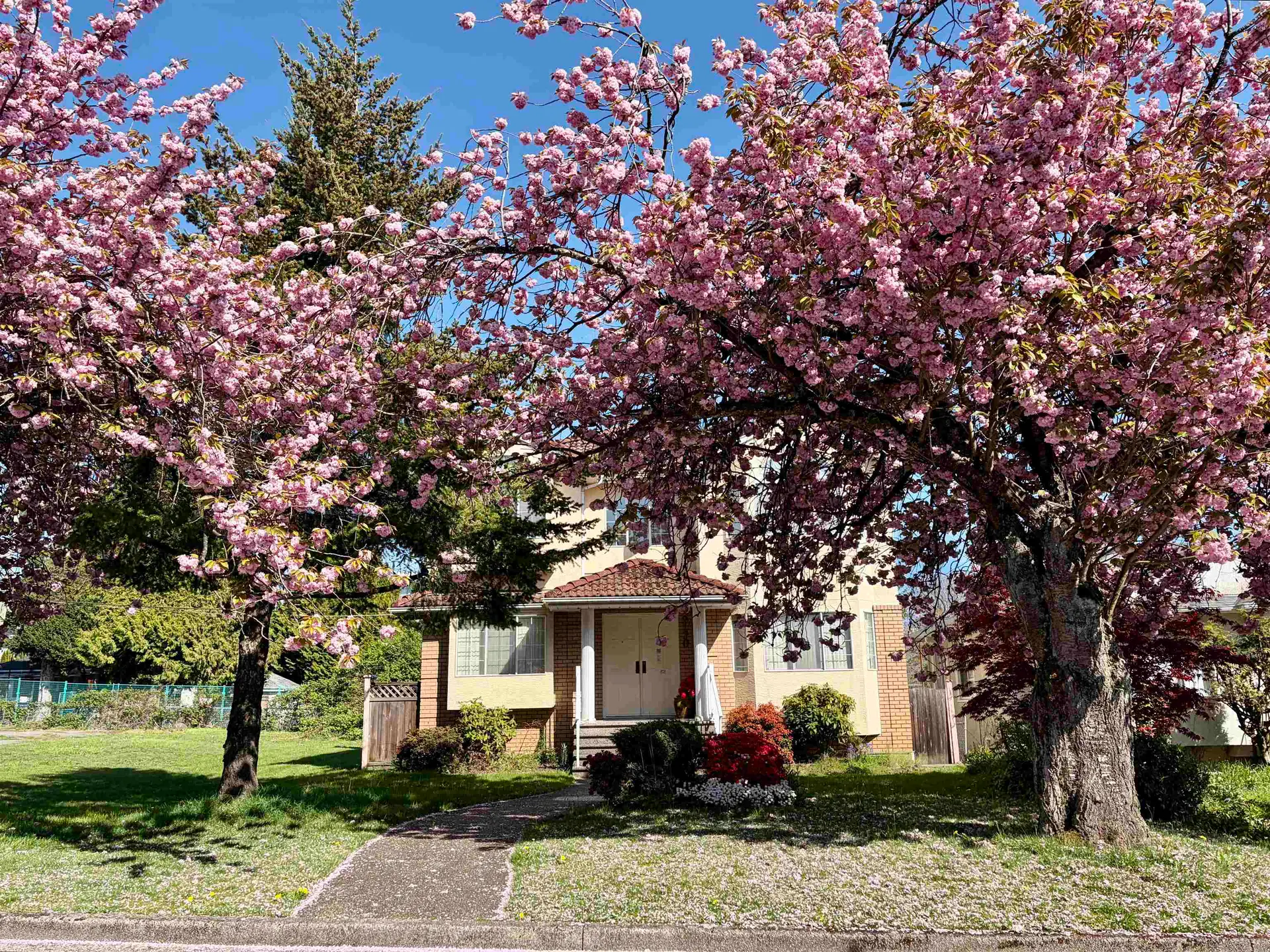 Property at 8110 Osler Street, Vancouver, BC