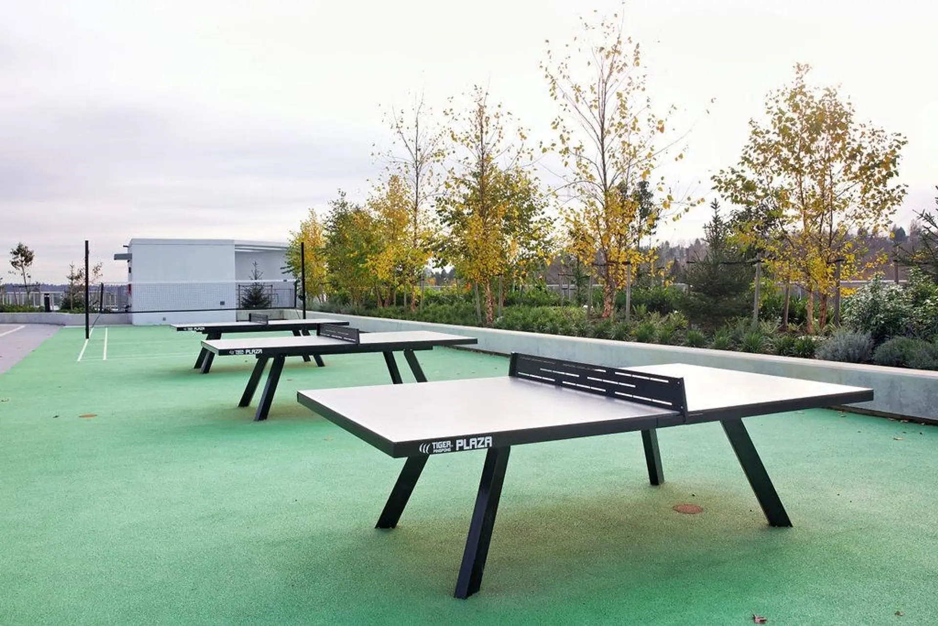 Property at #3108 318 Alderson Avenue, Coquitlam, BC