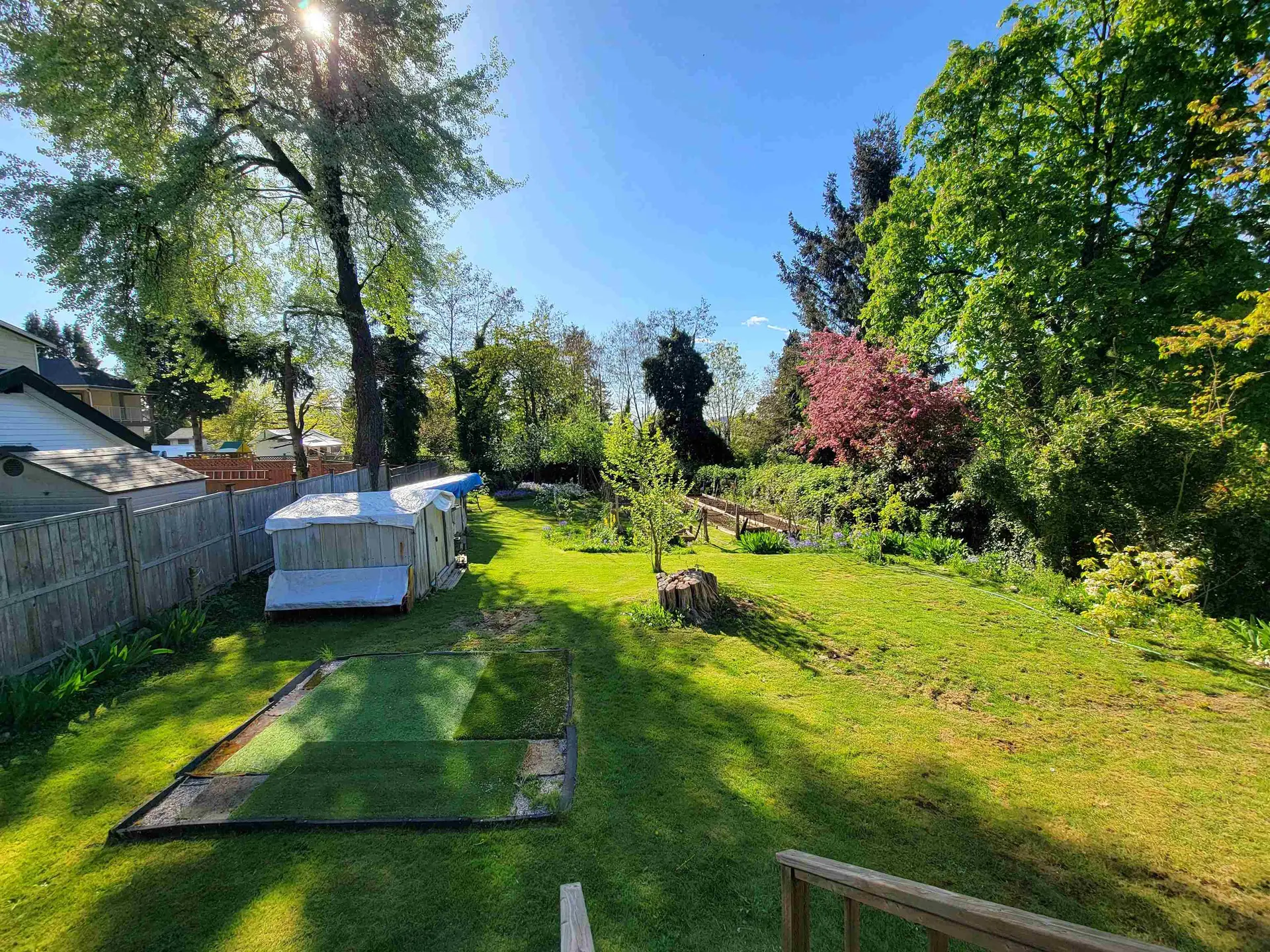 Property at 11037 131 Street, Surrey, BC