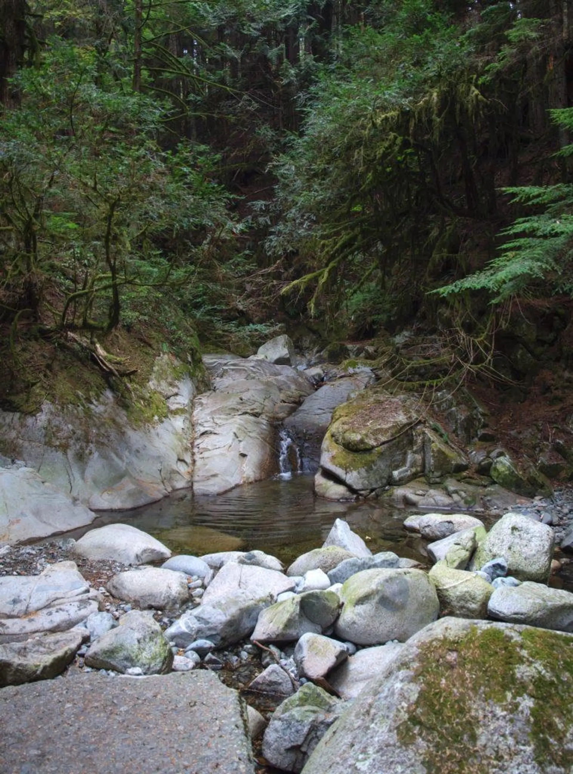 Property at [private address], North Vancouver, BC