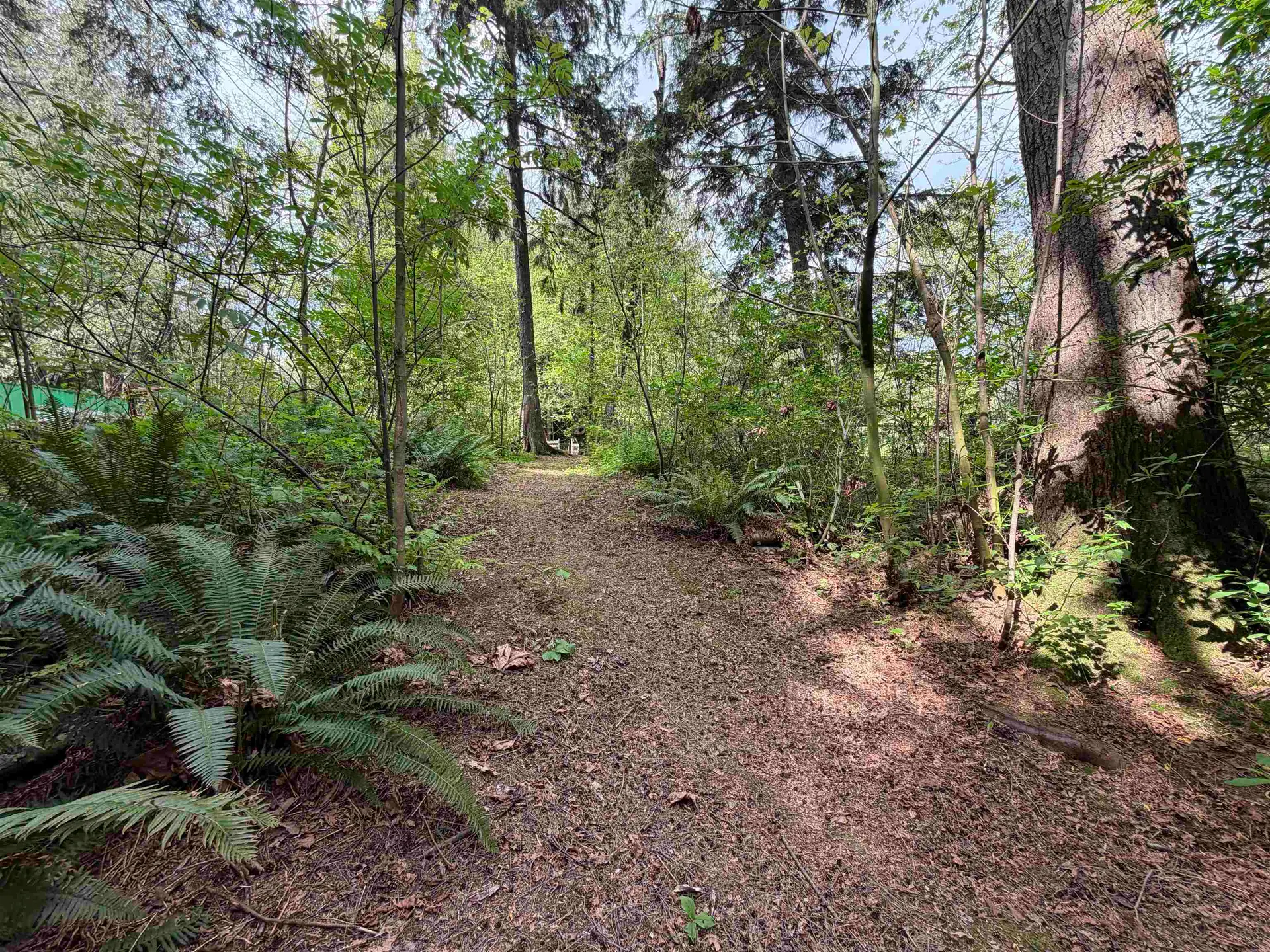 Property at 25080 4 Avenue, Langley, BC