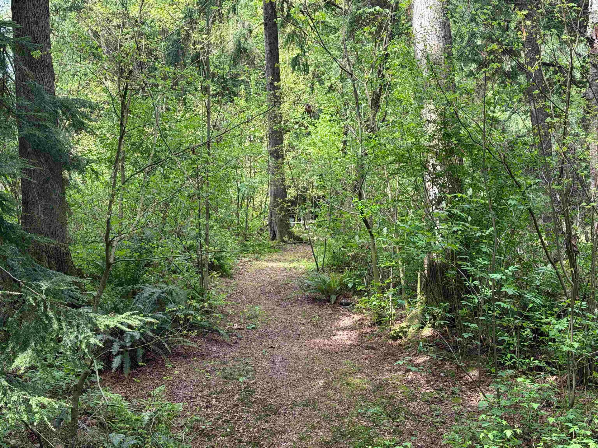 Property at 25080 4 Avenue, Langley, BC