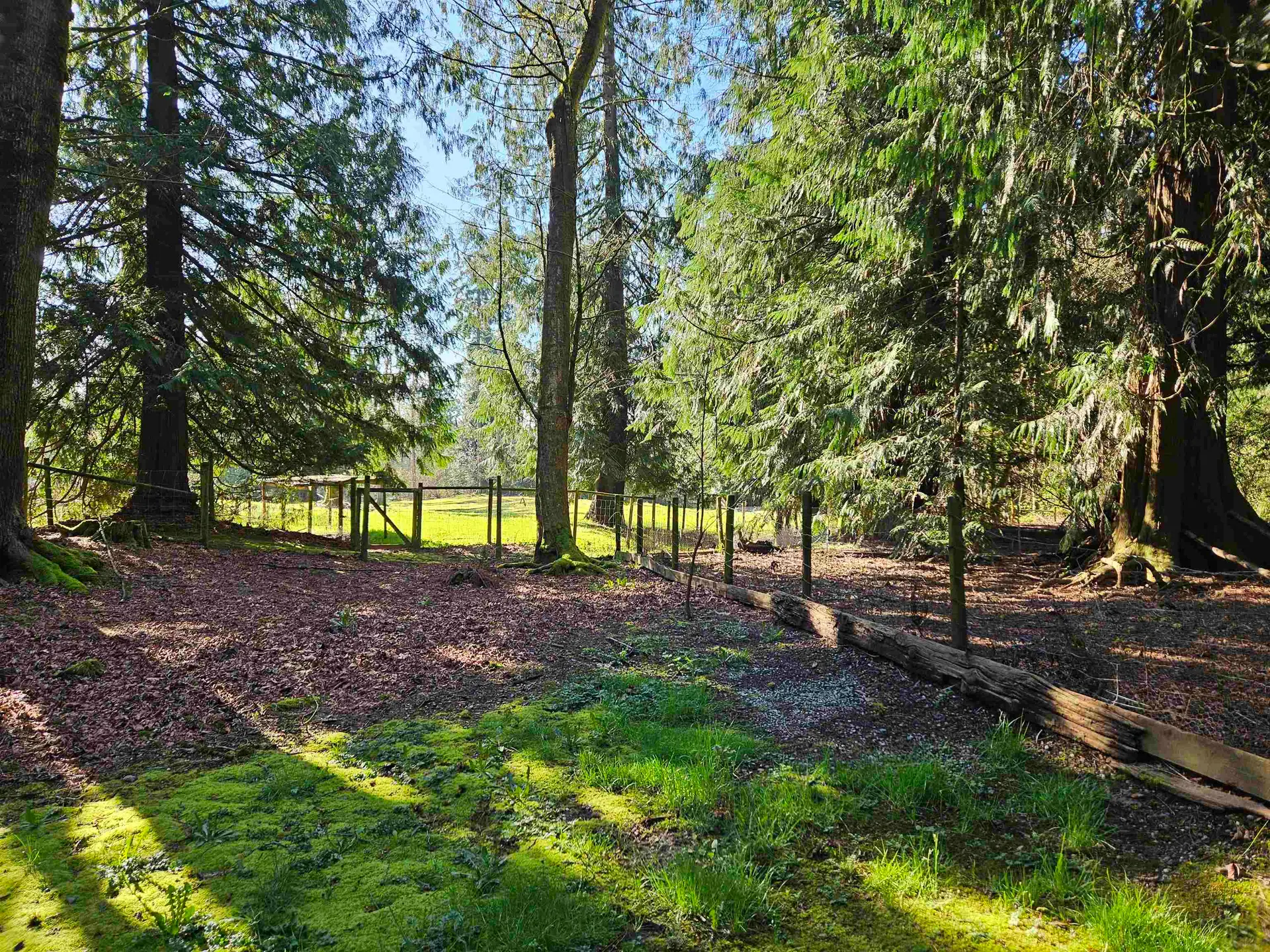 Property at 25080 4 Avenue, Langley, BC