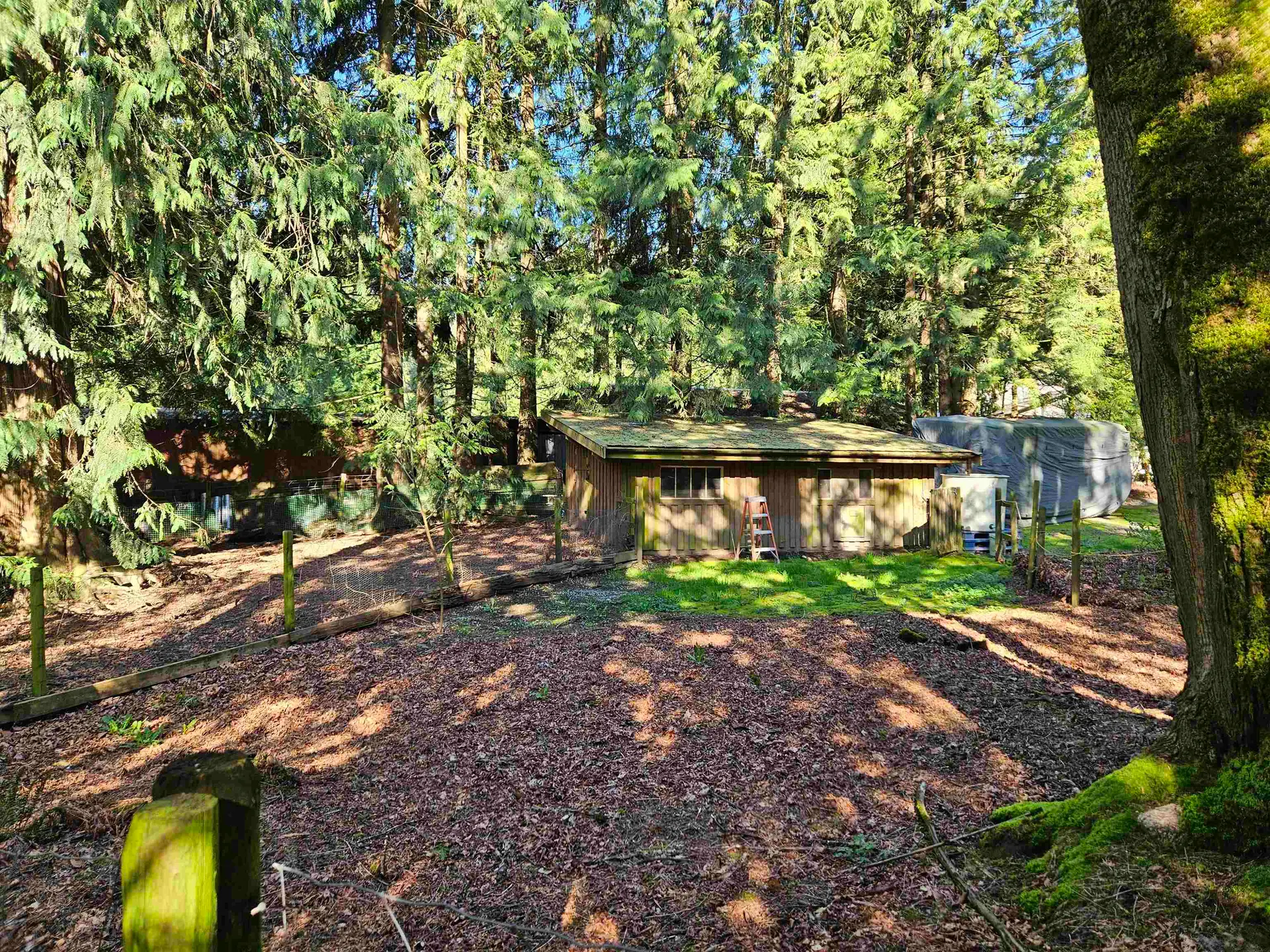 Property at 25080 4 Avenue, Langley, BC