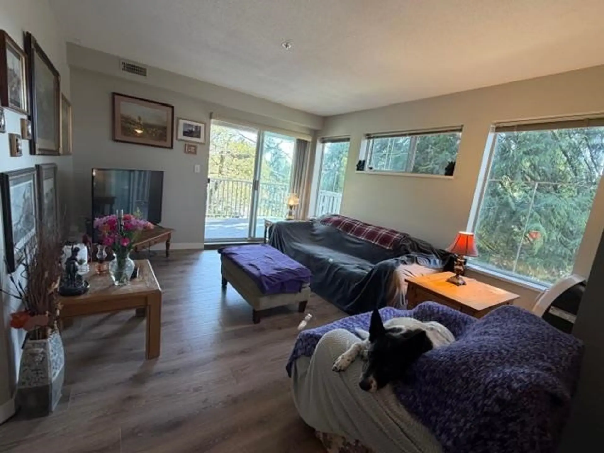 Property at #209 20561 113 Avenue, Maple Ridge, BC