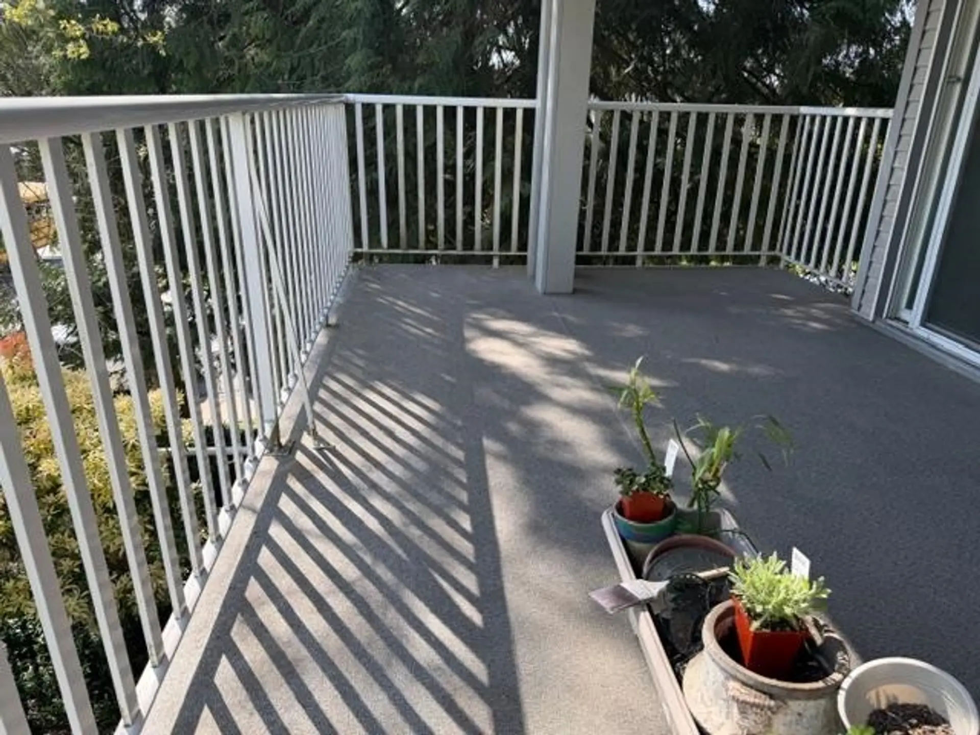 Property at #209 20561 113 Avenue, Maple Ridge, BC