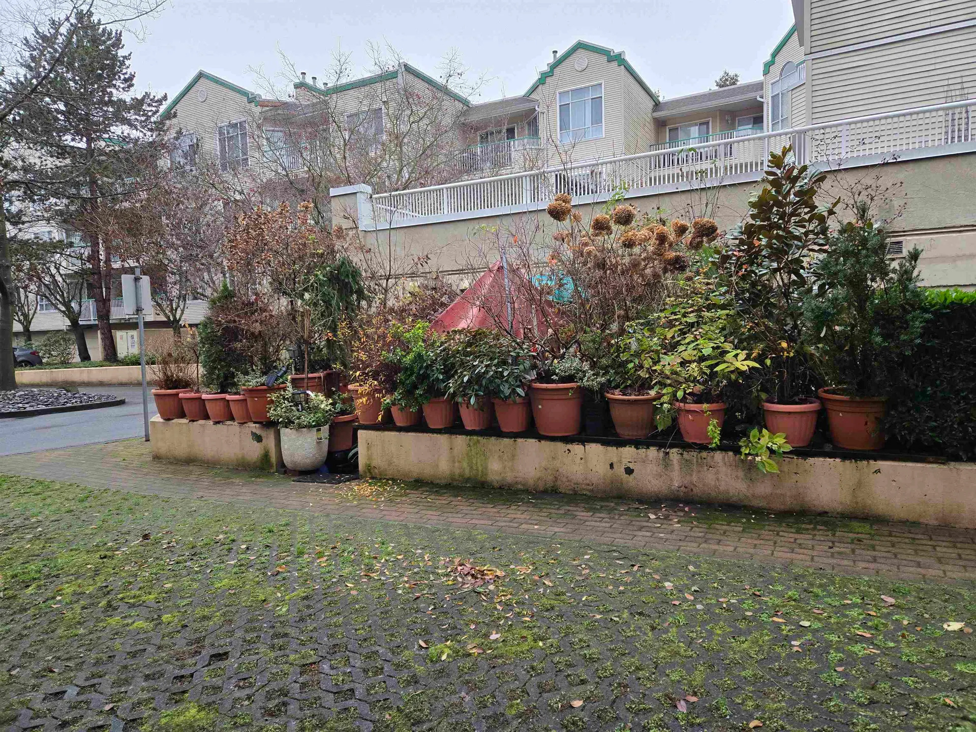 Property at #100 8655 Jones Road, Richmond, BC