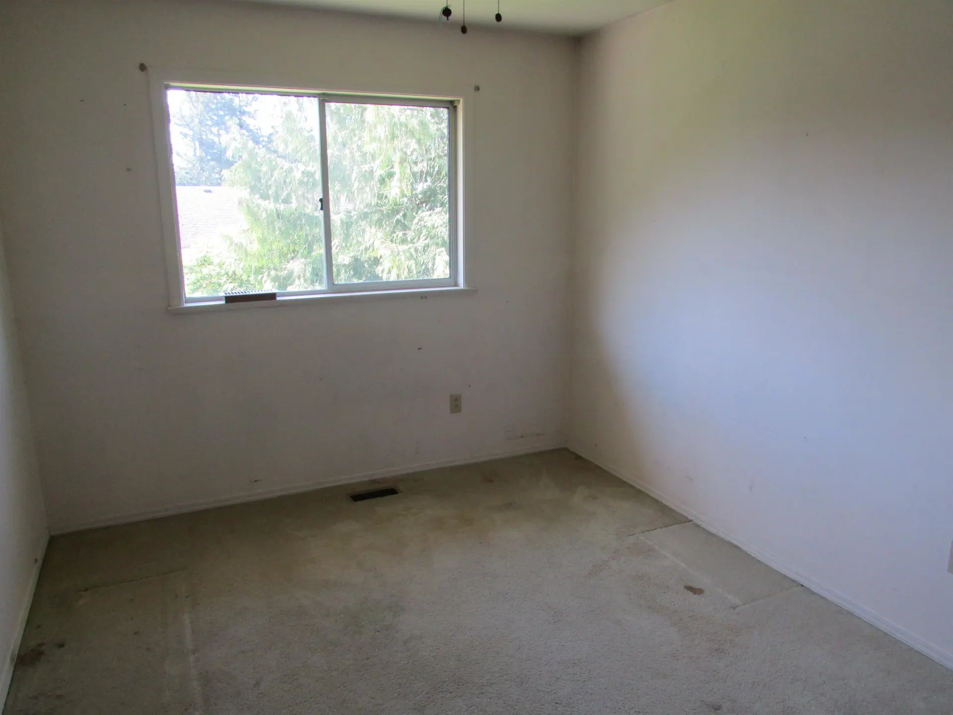 Property at 3019 Cassiar Avenue, Abbotsford, BC