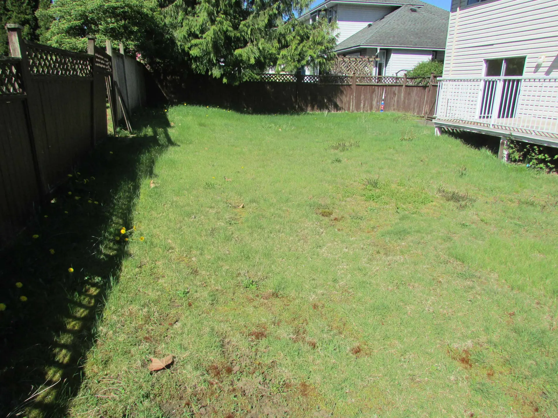 Property at 3019 Cassiar Avenue, Abbotsford, BC