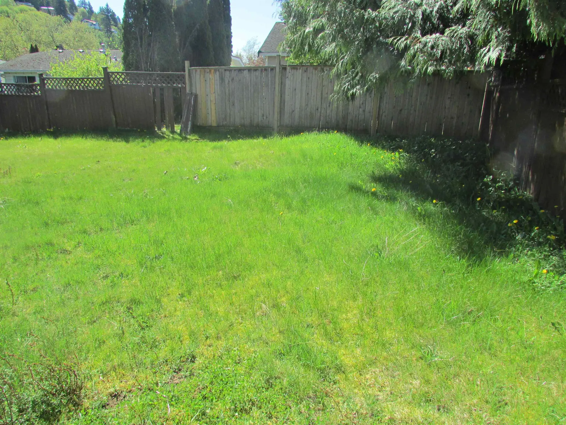 Property at 3019 Cassiar Avenue, Abbotsford, BC