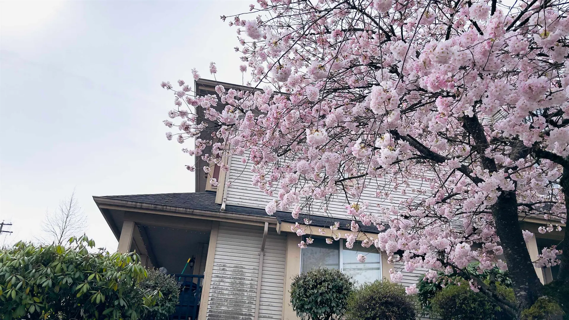 Property at #5 6481 Elgin Avenue, Burnaby, BC