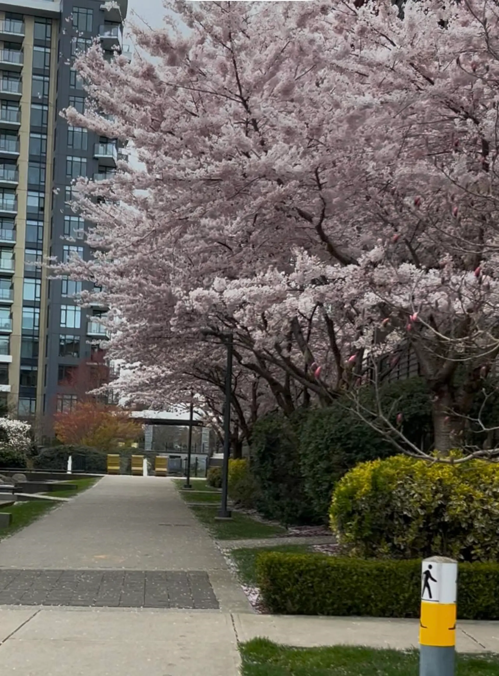 Property at #212 6033 Gray Avenue, Vancouver, BC