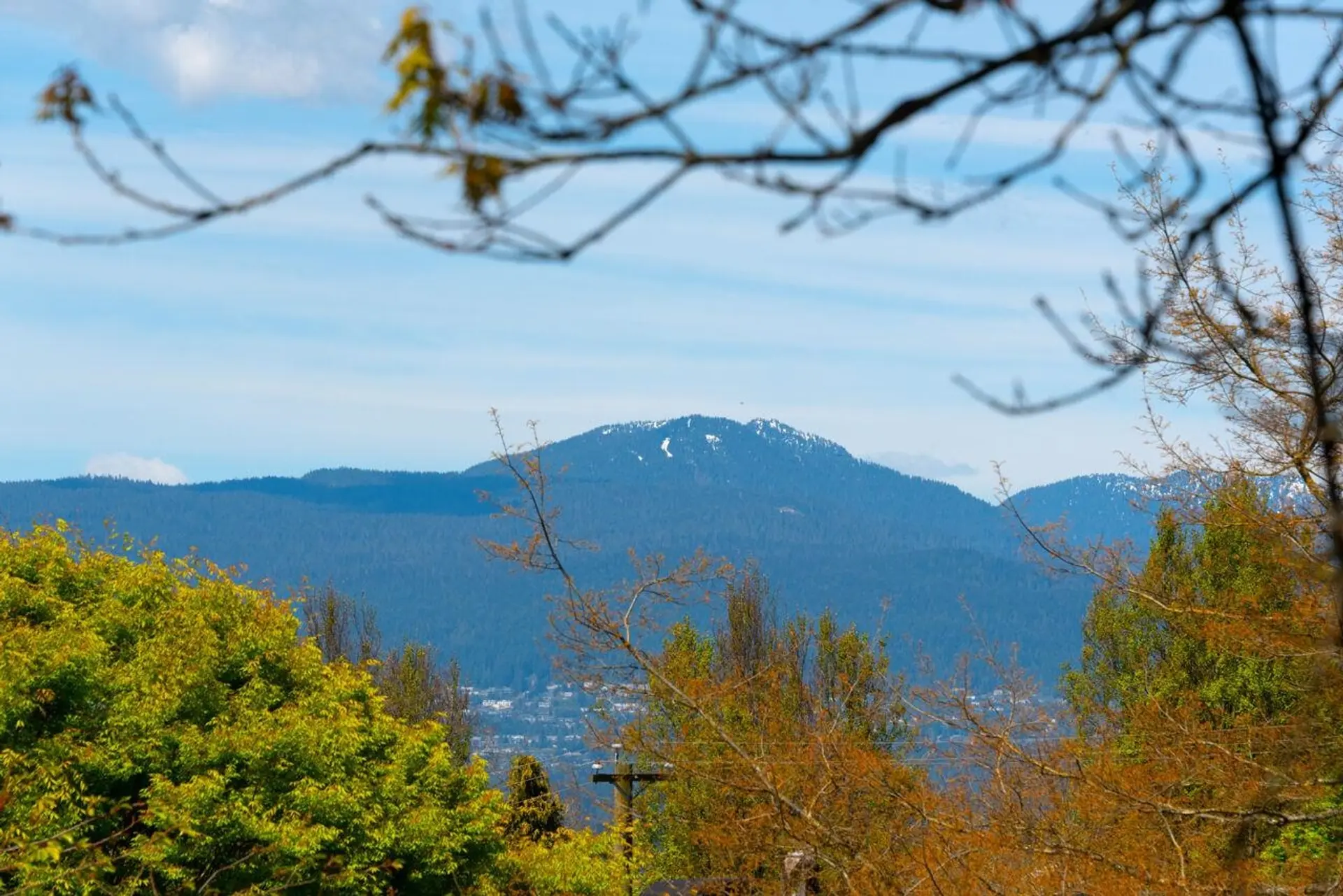 Property at #302 2250 Oxford Street, Vancouver, BC