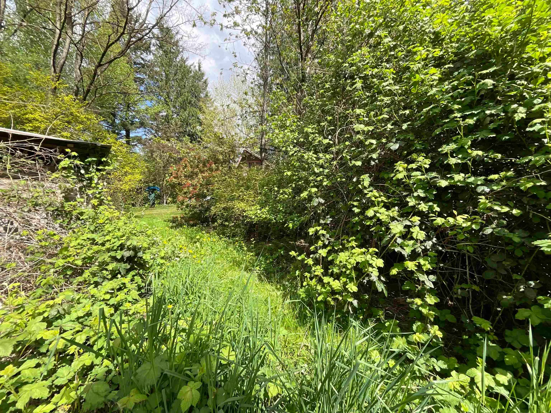 Property at 142 Kilby Road, Harrison Mills, BC